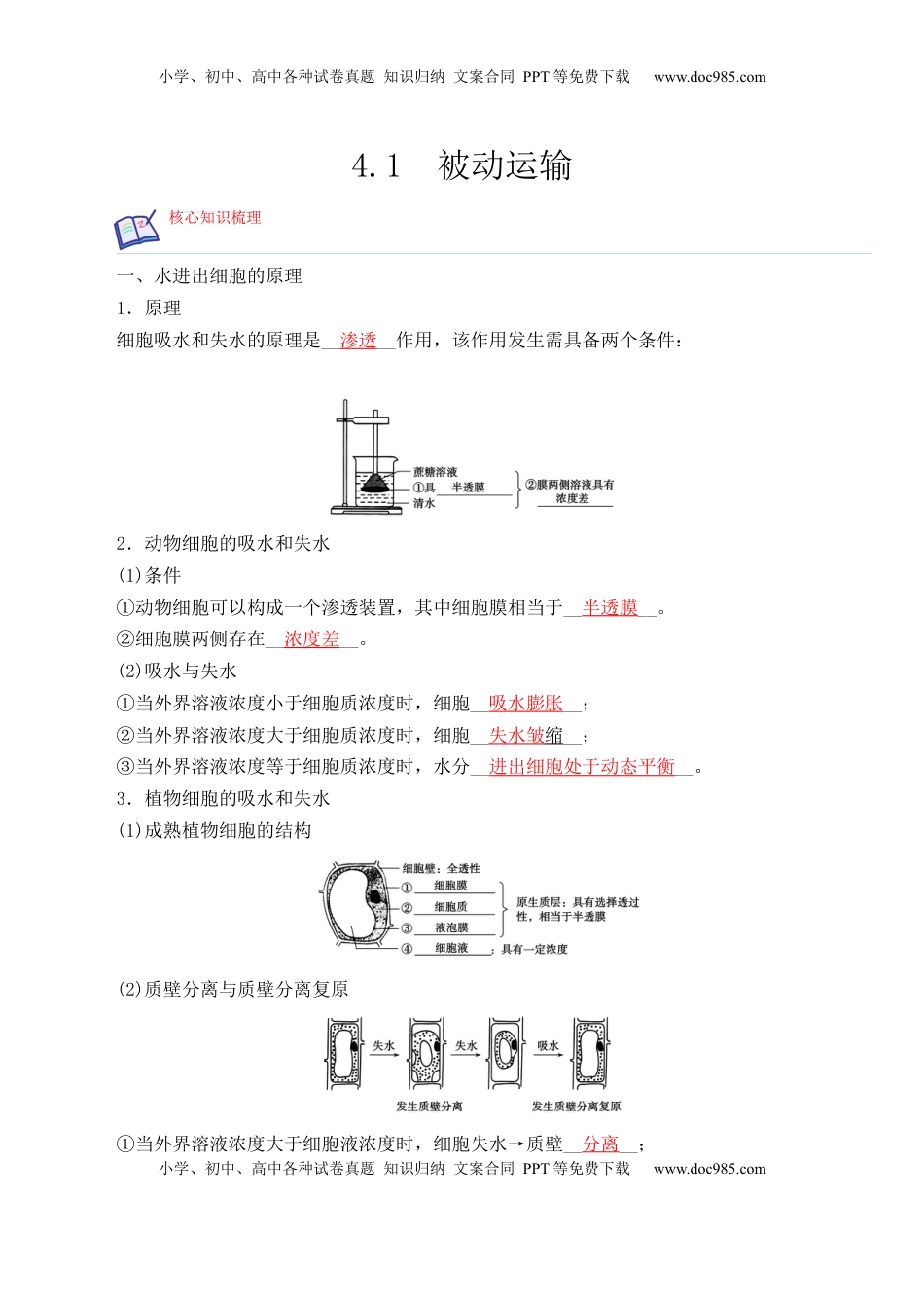 4.1 被动运输-2022-2023学年高一生物上学期课后培优分级练（2019人教版必修1）（解析版）.docx