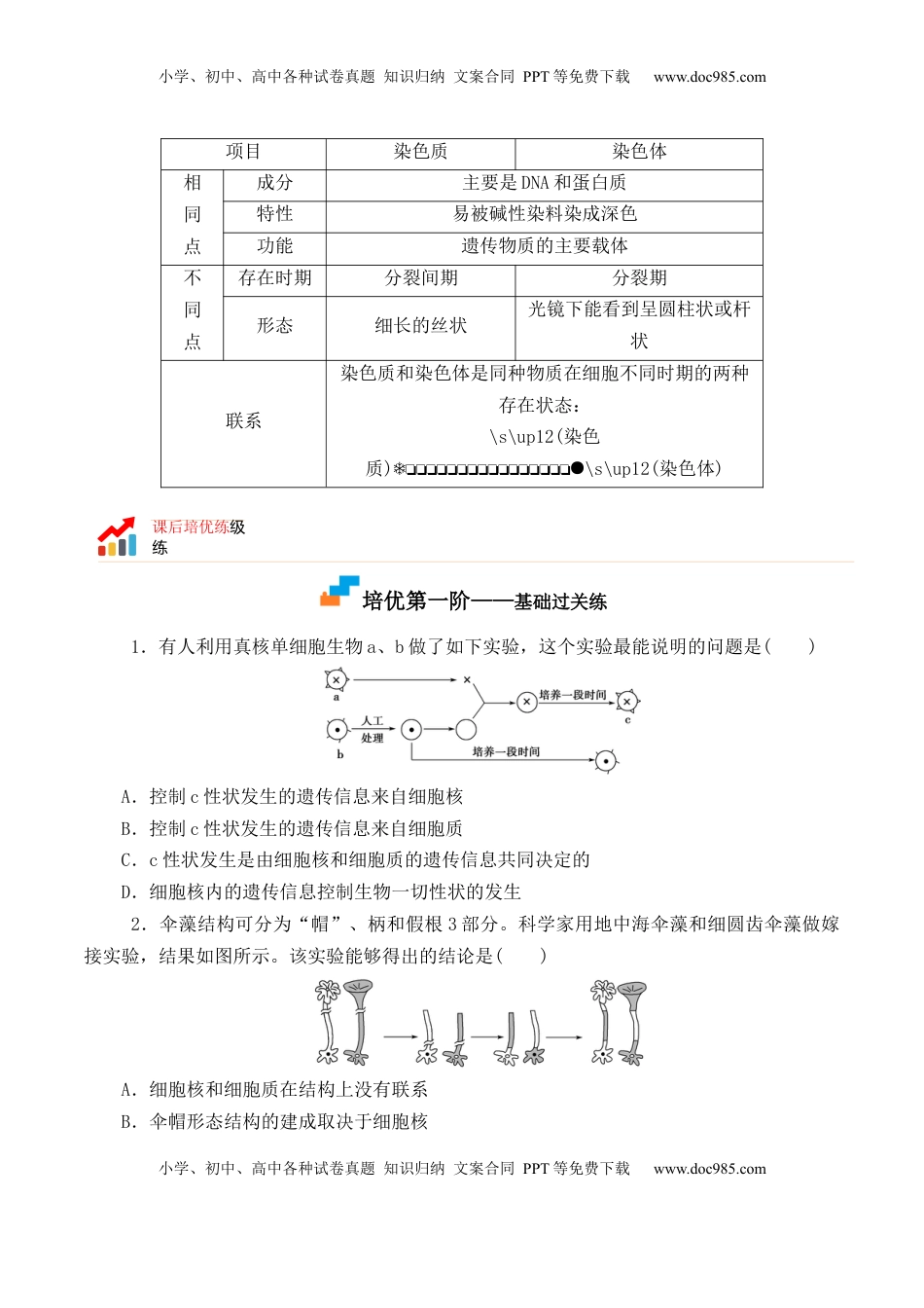 3.3 细胞核的结构和功能-2022-2023学年高一生物上学期课后培优分级练（2019人教版必修1）（原卷版）.docx