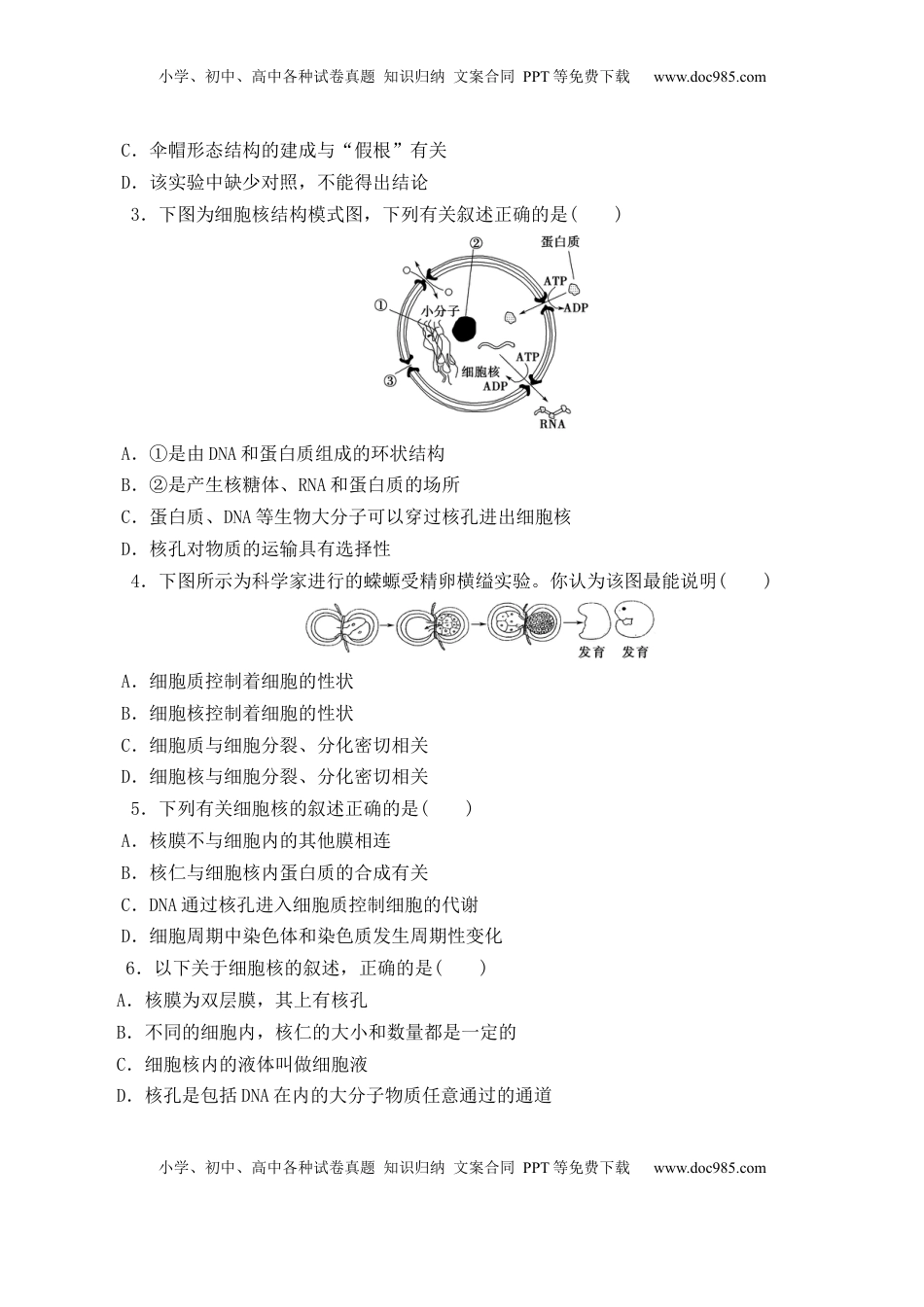 3.3 细胞核的结构和功能-2022-2023学年高一生物上学期课后培优分级练（2019人教版必修1）（原卷版）.docx