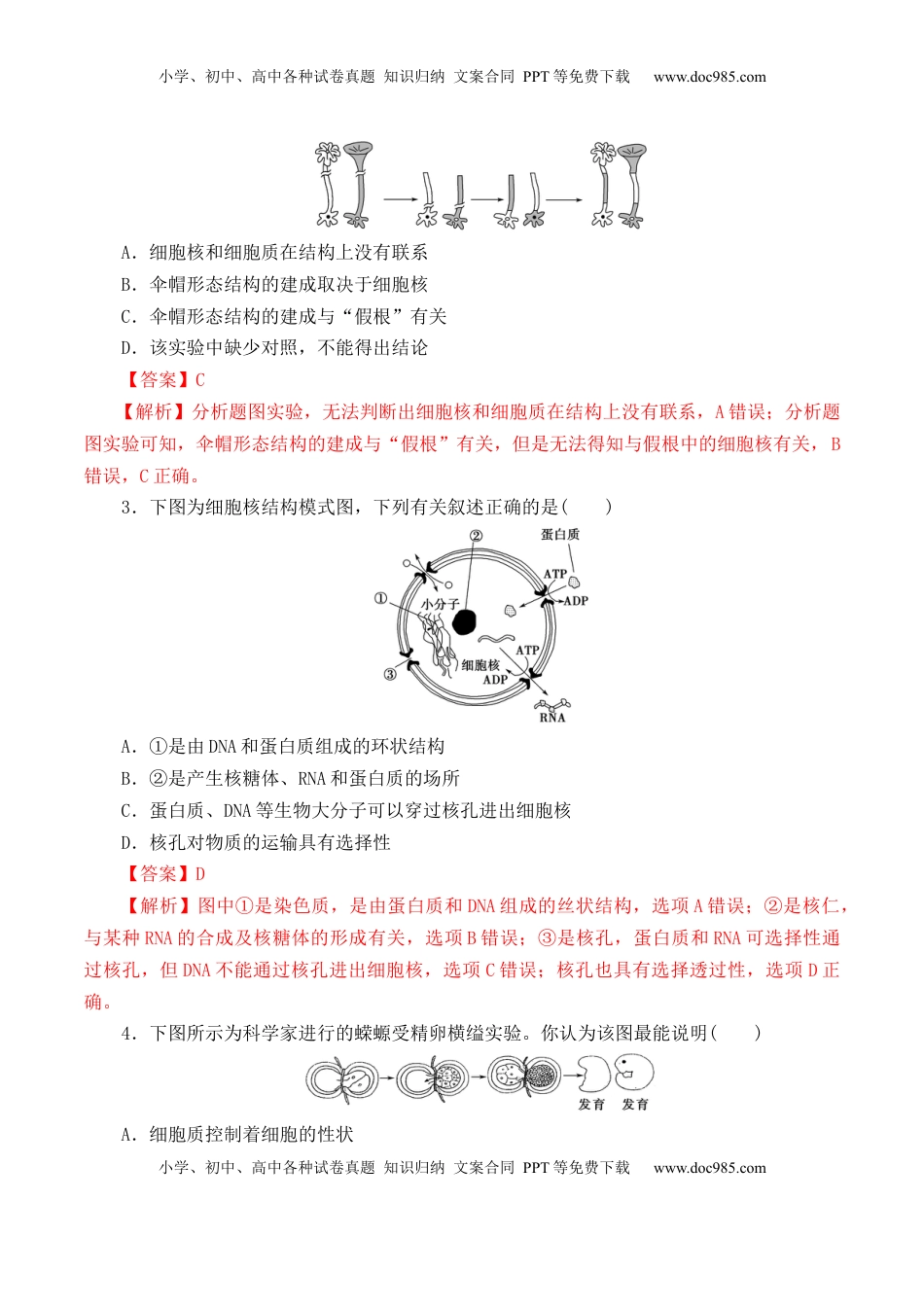 3.3 细胞核的结构和功能-2022-2023学年高一生物上学期课后培优分级练（2019人教版必修1）（解析版）.docx