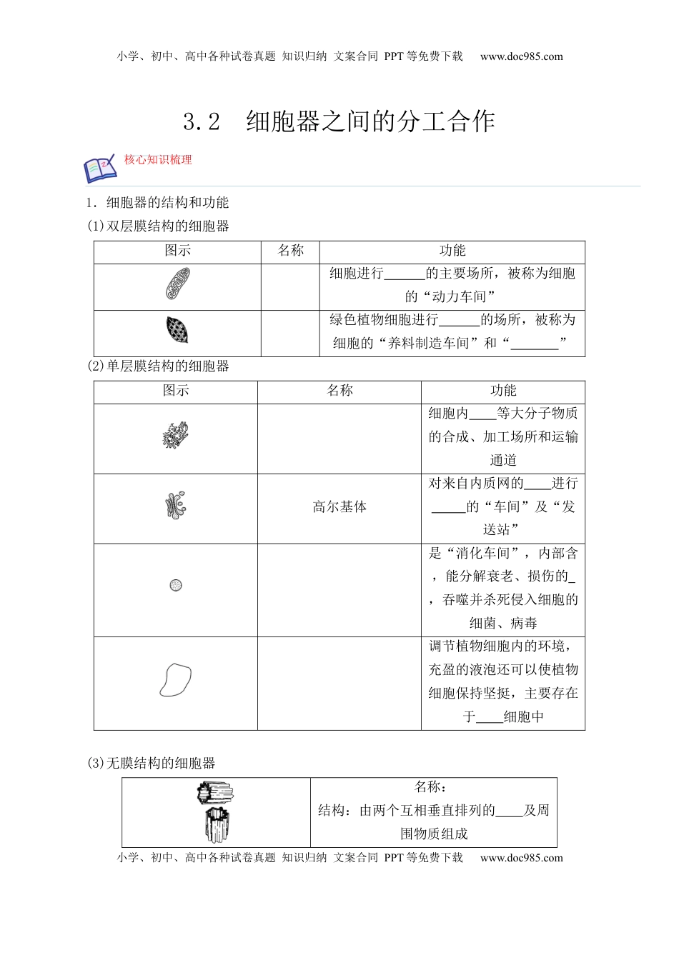3.2 细胞器之间的分工合作-2022-2023学年高一生物上学期课后培优分级练（2019人教版必修1）（原卷版）.docx