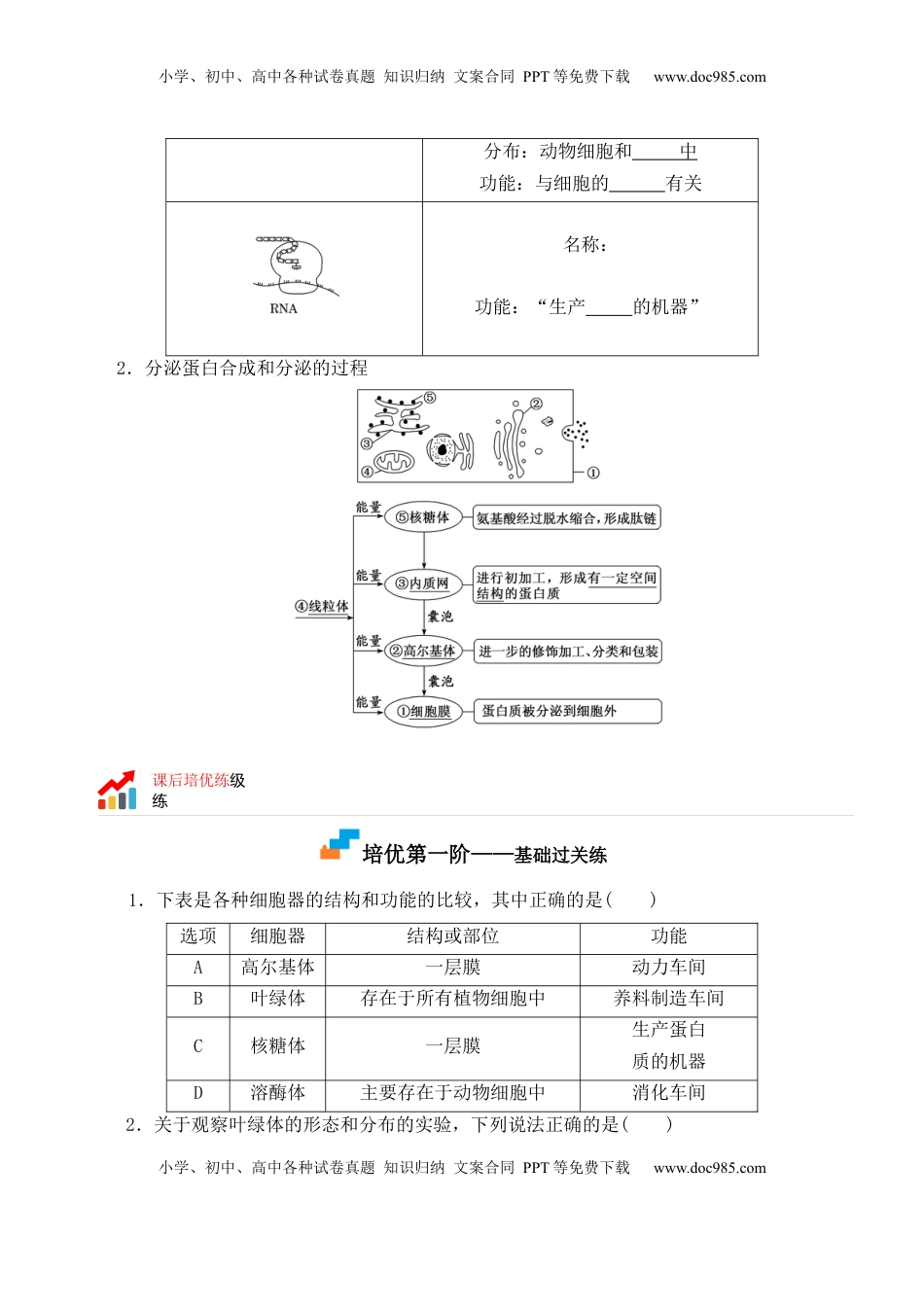 3.2 细胞器之间的分工合作-2022-2023学年高一生物上学期课后培优分级练（2019人教版必修1）（原卷版）.docx