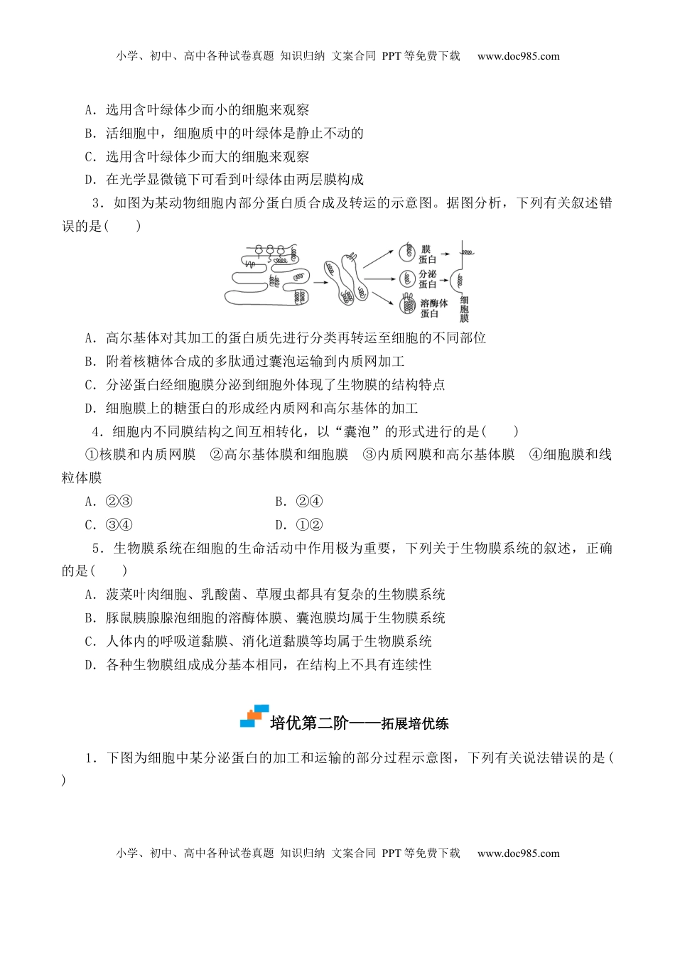 3.2 细胞器之间的分工合作-2022-2023学年高一生物上学期课后培优分级练（2019人教版必修1）（原卷版）.docx