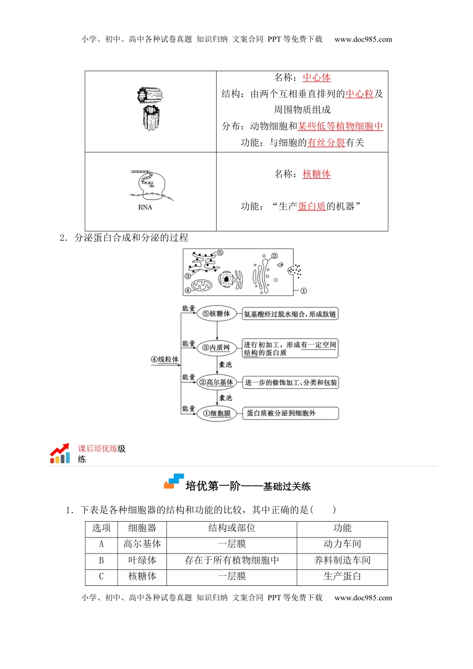 3.2 细胞器之间的分工合作- 2022-2023学年高一生物上学期课后培优分级练（2019人教版必修1）（解析版）.docx