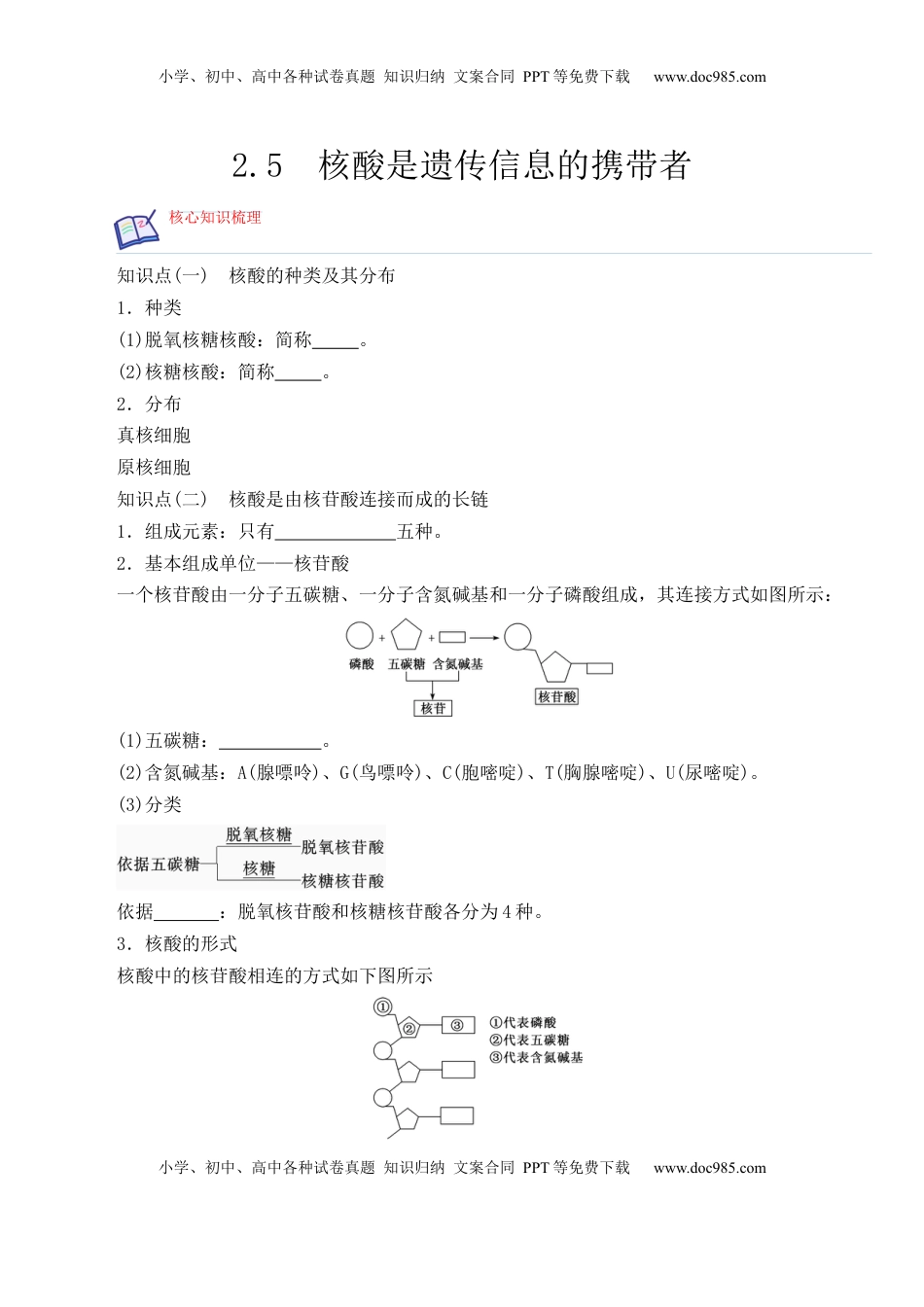 2.5 核酸是遗传信息的携带者 -2022-2023学年高一生物上学期课后培优分级练（2019人教版必修1）（原卷版）.docx