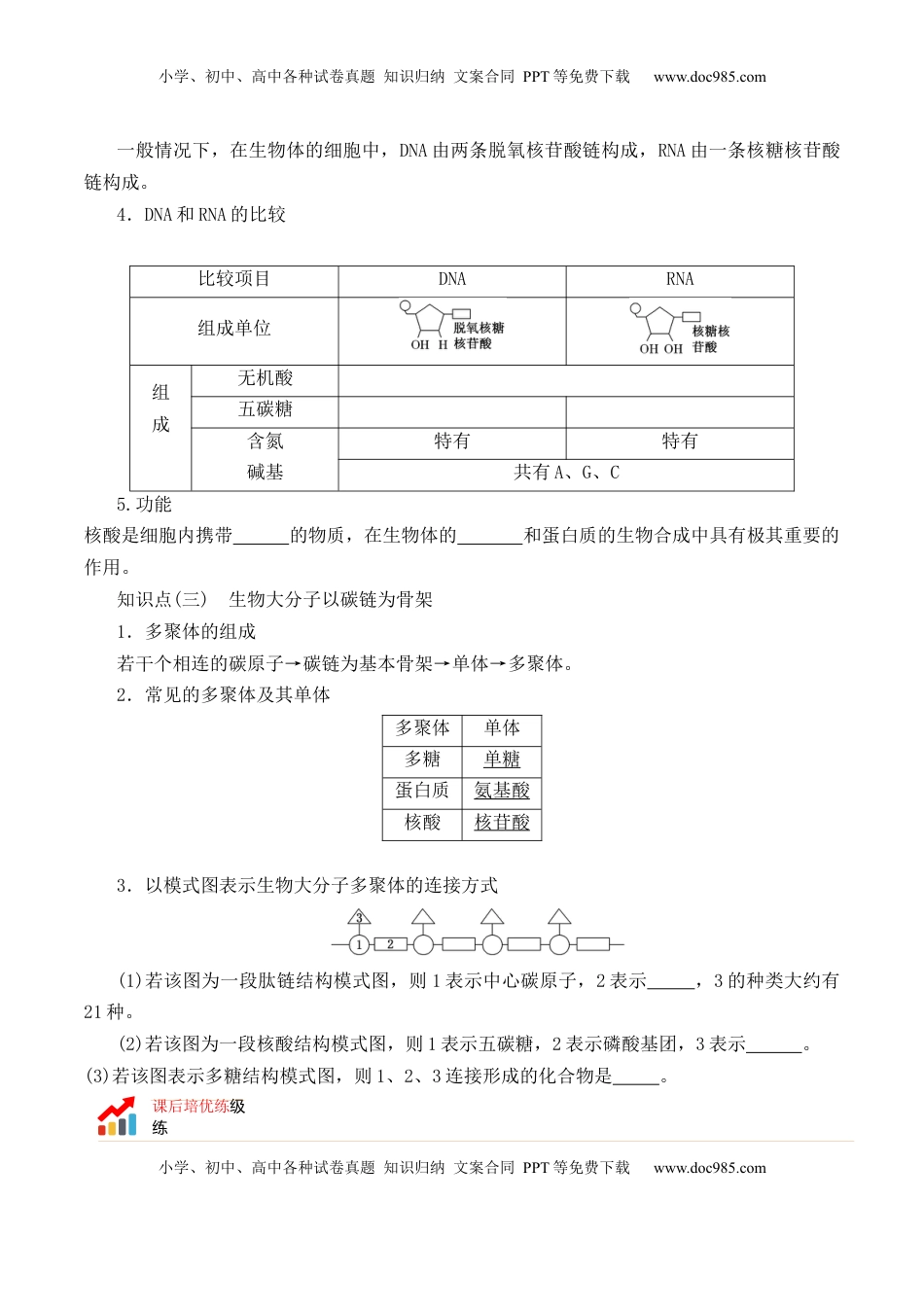 2.5 核酸是遗传信息的携带者 -2022-2023学年高一生物上学期课后培优分级练（2019人教版必修1）（原卷版）.docx
