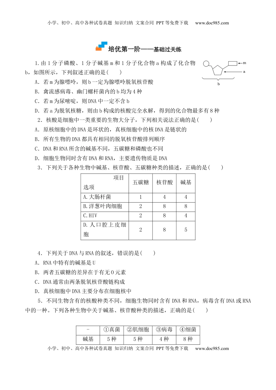 2.5 核酸是遗传信息的携带者 -2022-2023学年高一生物上学期课后培优分级练（2019人教版必修1）（原卷版）.docx