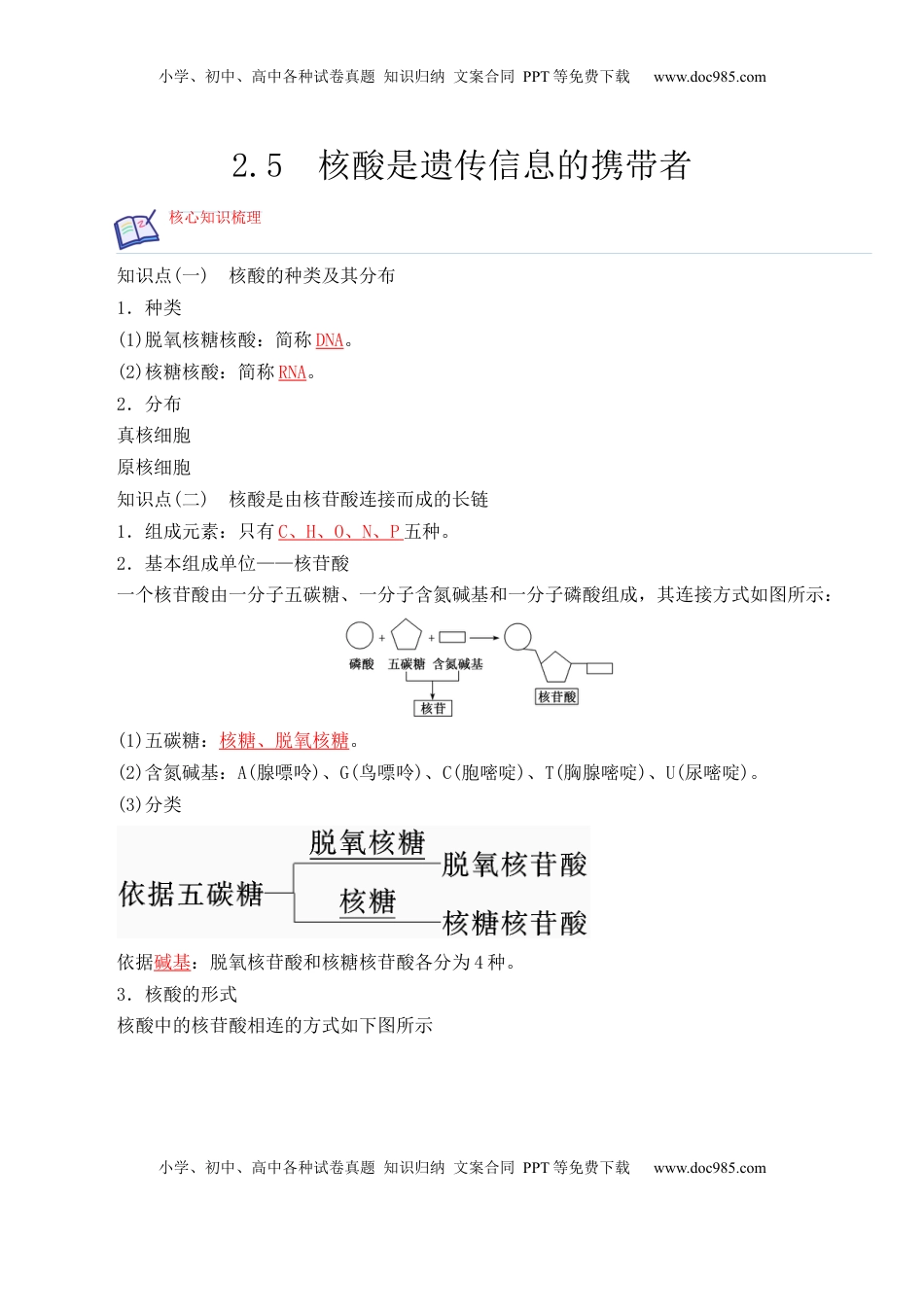 2.5 核酸是遗传信息的携带者- 2022-2023学年高一生物上学期课后培优分级练（2019人教版必修1）（解析版）.docx