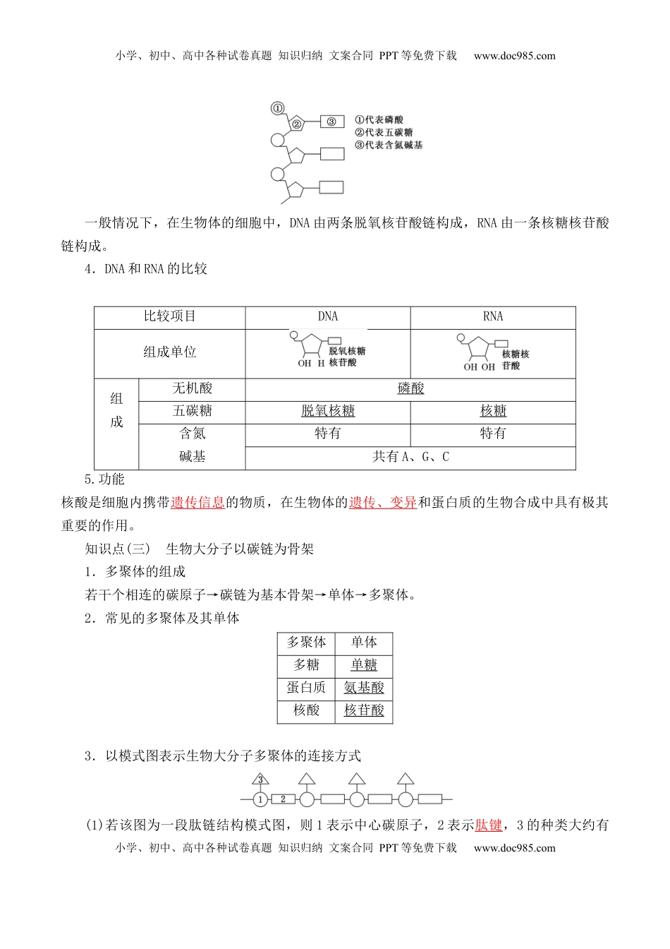 2.5 核酸是遗传信息的携带者- 2022-2023学年高一生物上学期课后培优分级练（2019人教版必修1）（解析版）.docx