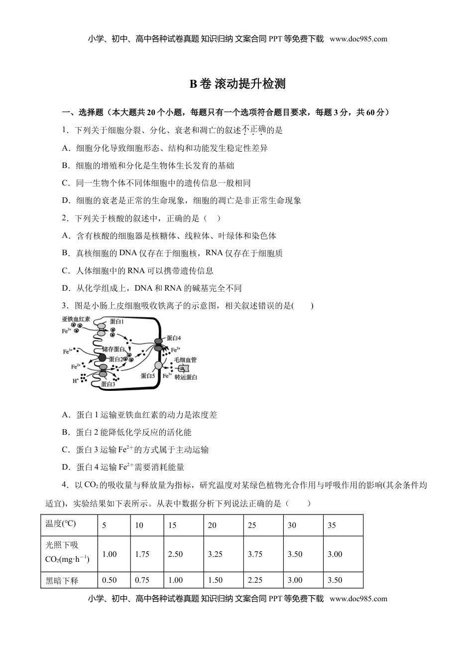 2019人教版必修1期末（B卷 滚动提升检测）-2021年高考生物一轮复习单元滚动双测卷（新高考地区专用）（原卷版）.doc