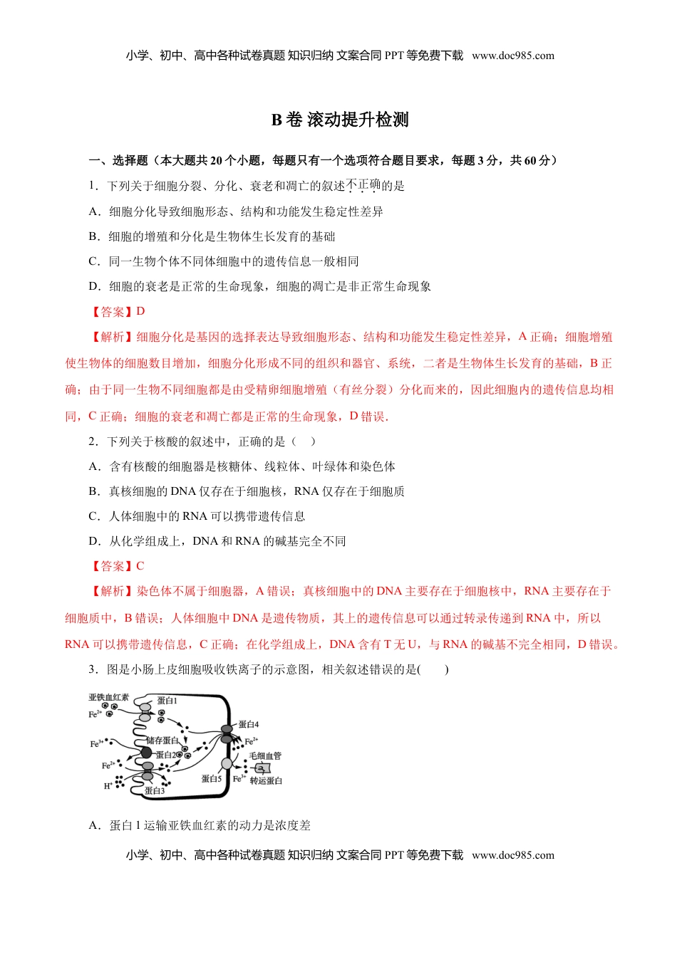 2019人教版必修1期末（B卷 滚动提升检测）-2021年高考生物一轮复习单元滚动双测卷（新高考地区专用）（解析版）.doc