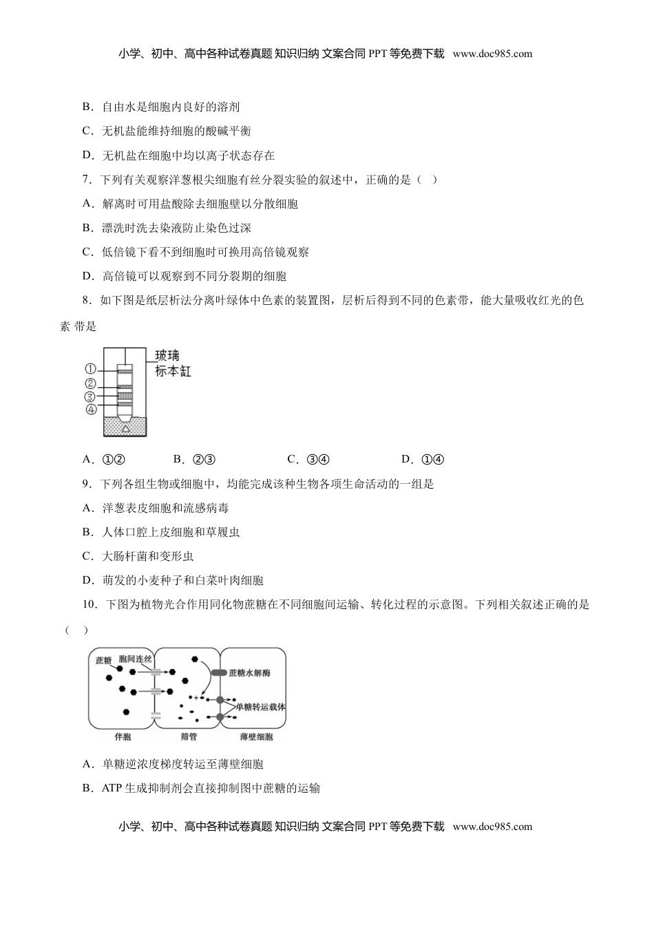 人教版必修1期末（A卷 基础过关检测）-高考生物一轮复习单元滚动双测卷（新高考地区专用）（原卷版）.doc