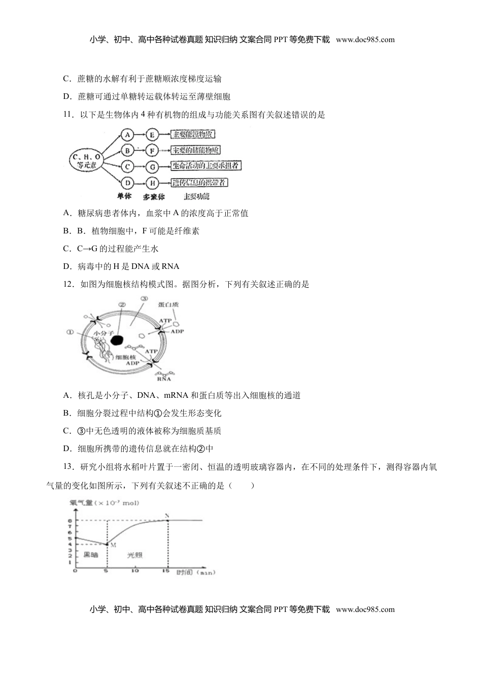 人教版必修1期末（A卷 基础过关检测）-高考生物一轮复习单元滚动双测卷（新高考地区专用）（原卷版）.doc