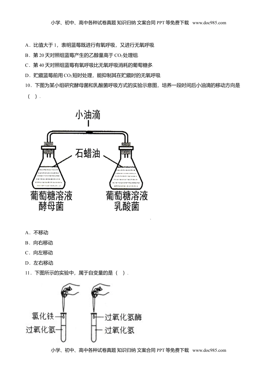 第五章  章末测试-高一生物课后培优练（人教版2019必修1）（原卷版）.doc