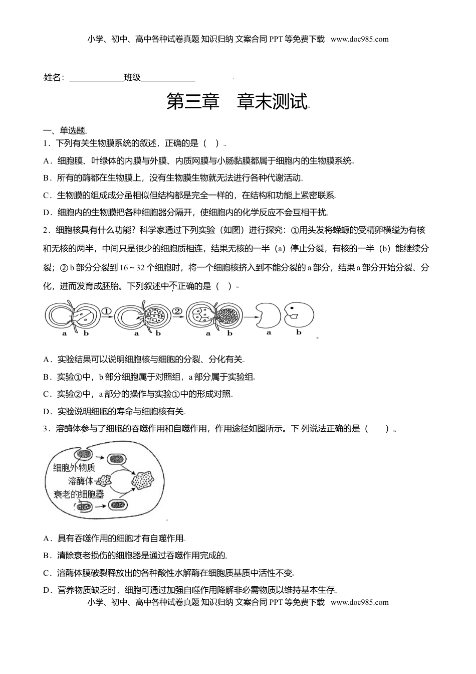 第三章  章末测试-高一生物课后培优练（人教版2019必修1）（原卷版）.doc