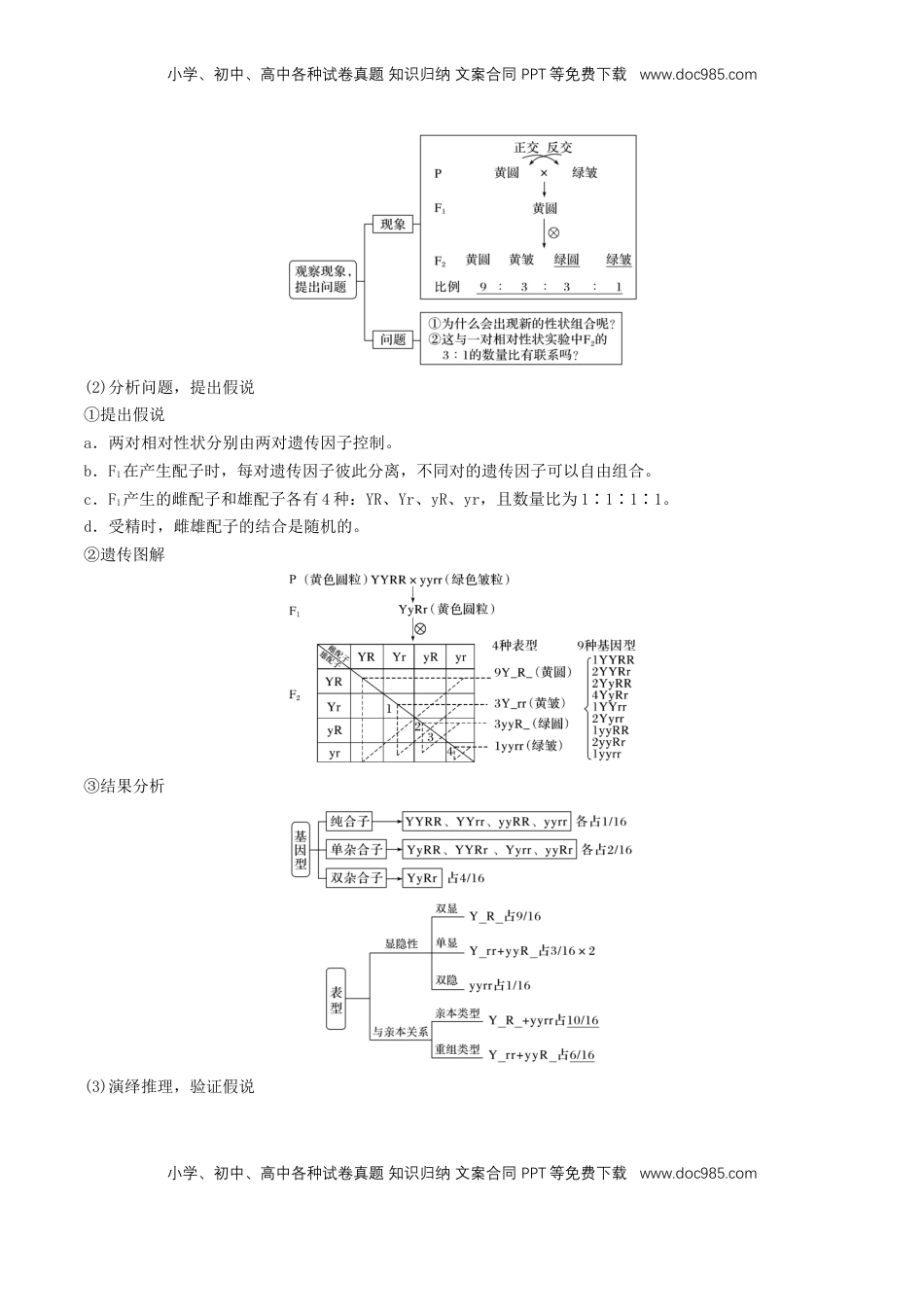 高一生物春学期知识点总结高一下学期生物人教版必修2.docx