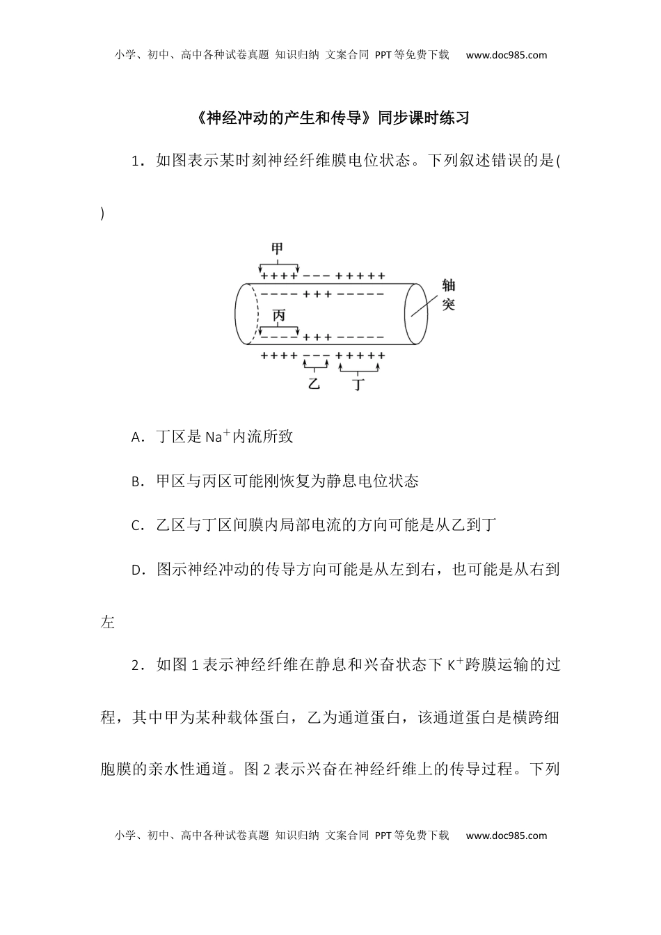2.3神经冲动的产生和传导同步练习2022-2023学年高二上学期生物人教版选择性必修1.docx