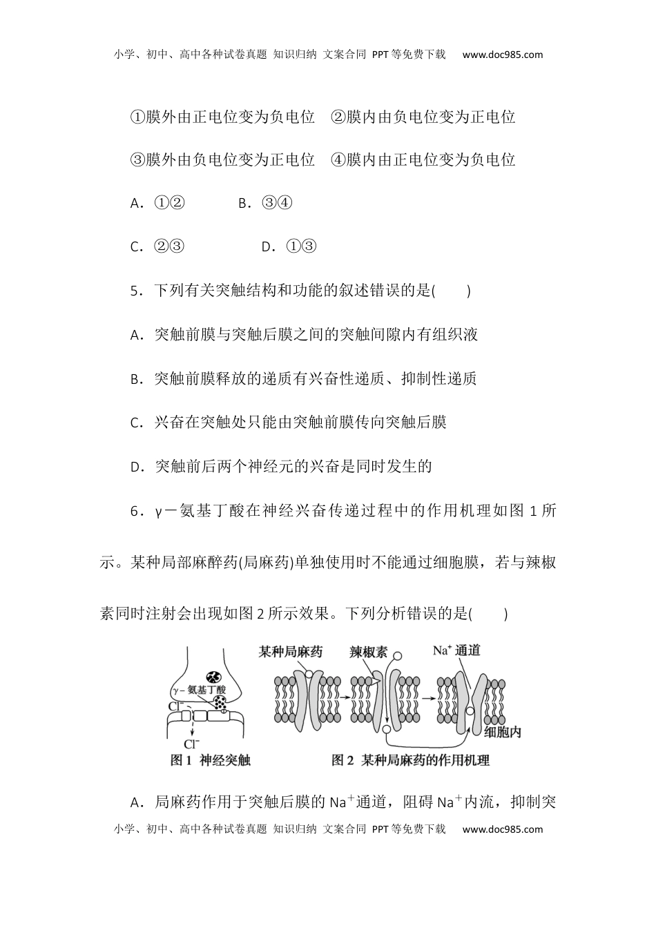 2.3神经冲动的产生和传导同步练习2022-2023学年高二上学期生物人教版选择性必修1.docx