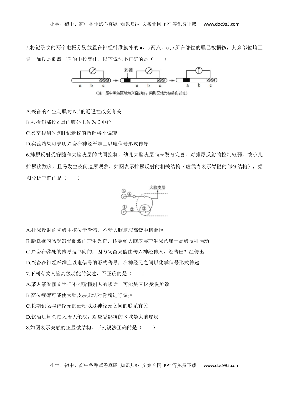第2章 神经调节（测试卷）-2022-2023学年高二生物章末检测卷（人教版2019选择性必修1）（原卷版）.docx