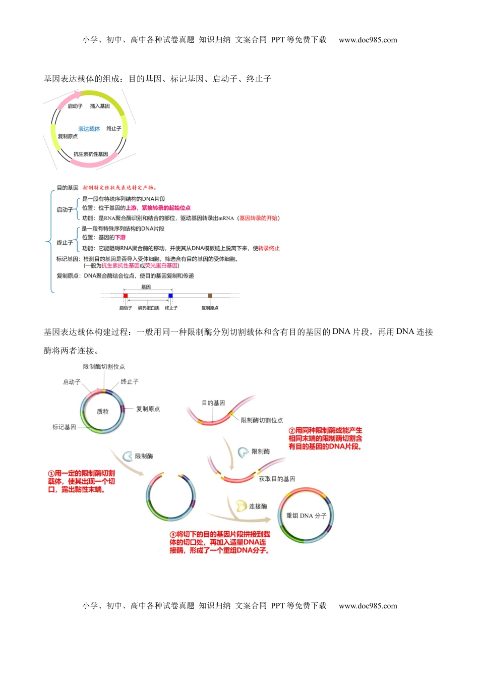3.2 基因工程的基本操作程序-2022-2023学年高二生物课后培优分级练（人教版2019选择性必修3）（原卷版）.docx