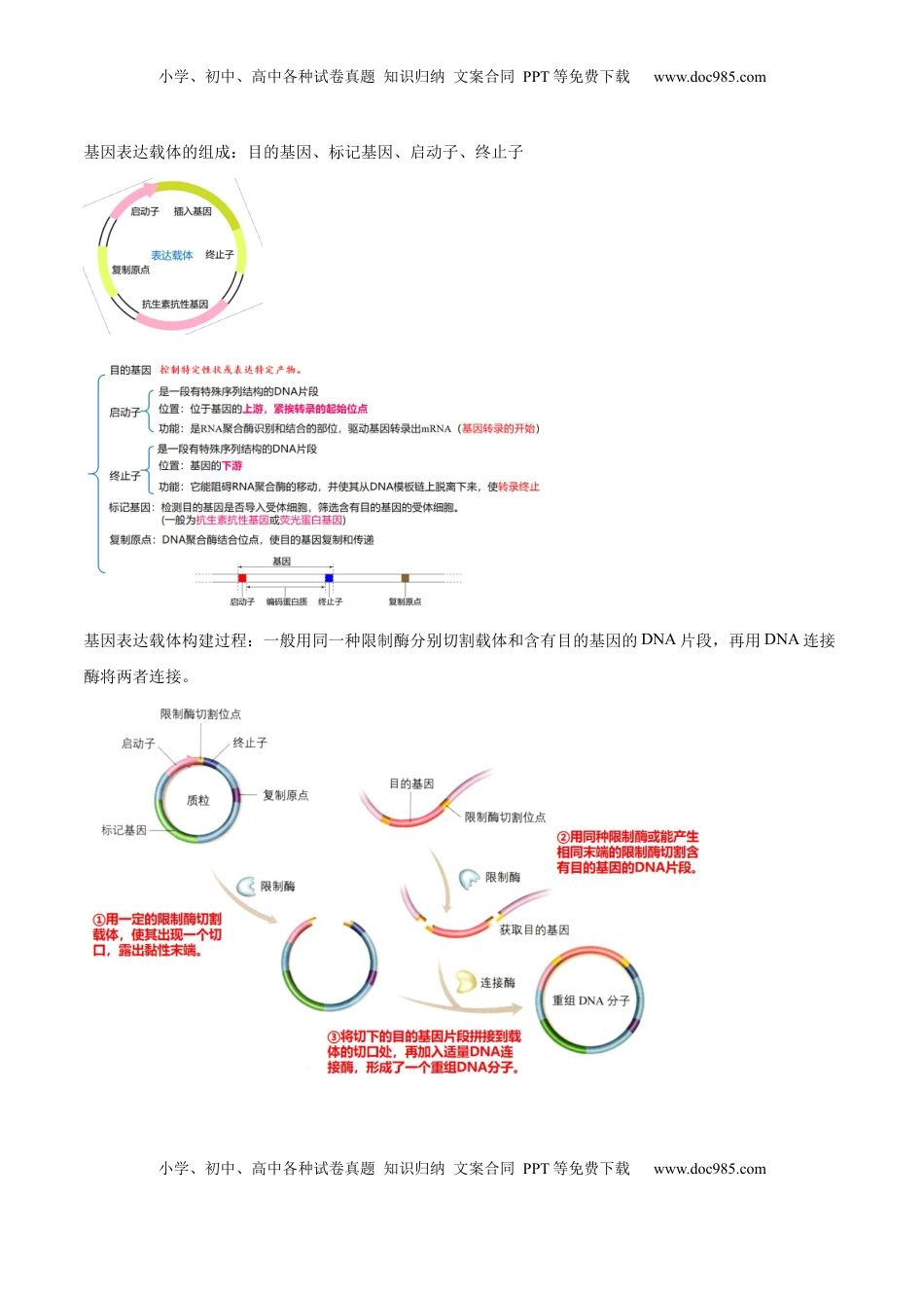 3.2 基因工程的基本操作程序-2022-2023学年高二生物课后培优分级练（人教版2019选择性必修3）（解析版）.docx
