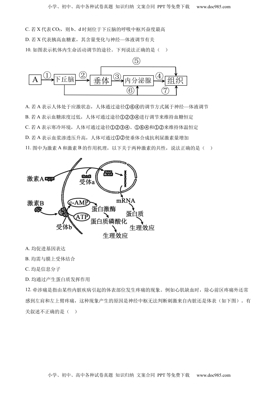 2022-2023学年高二上学期期中生物试题（原卷版） (2).docx