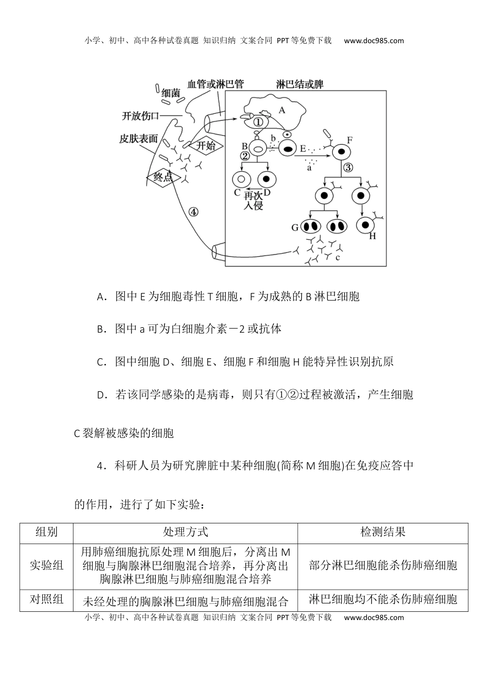 4.2特异性免疫同步练习2022-2023学年高二上学期生物人教版选择性必修1.docx