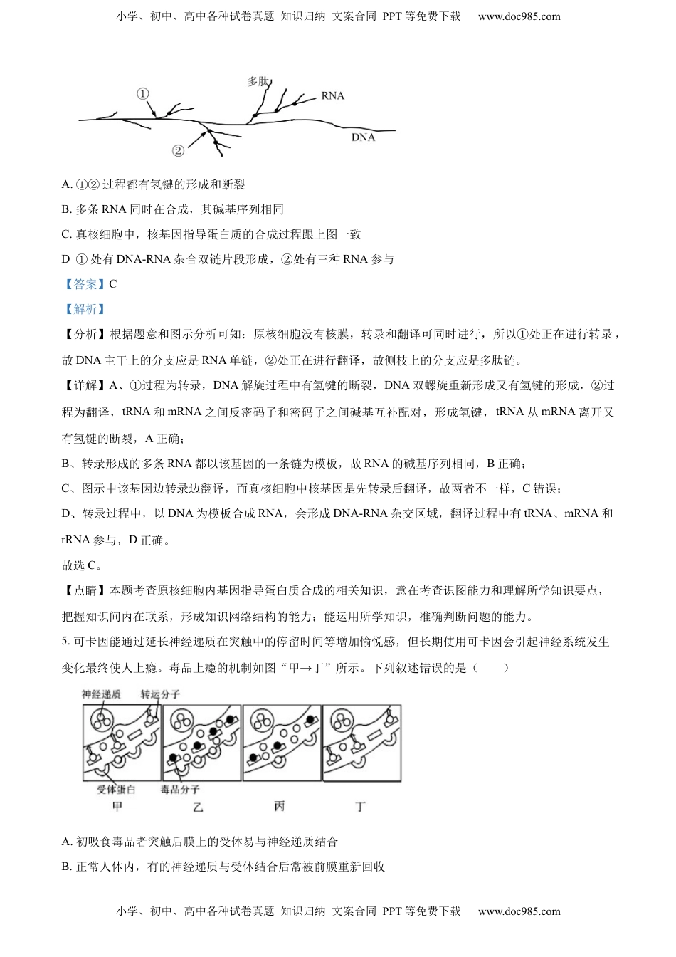 2022-2023学年高三上学期期末生物试题（解析版）.docx