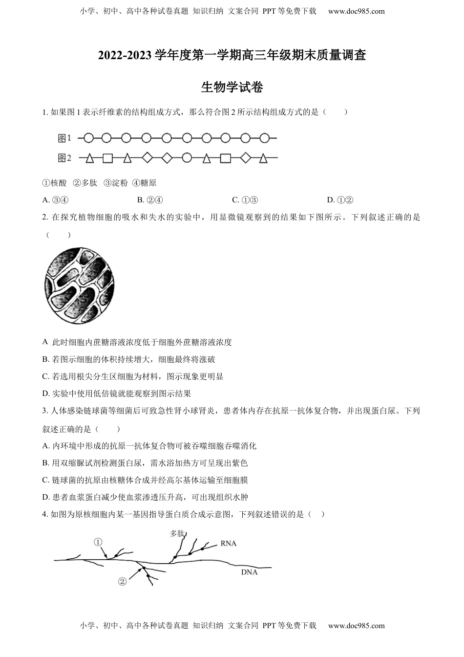 2022-2023学年高三上学期期末生物试题（原卷版）.docx