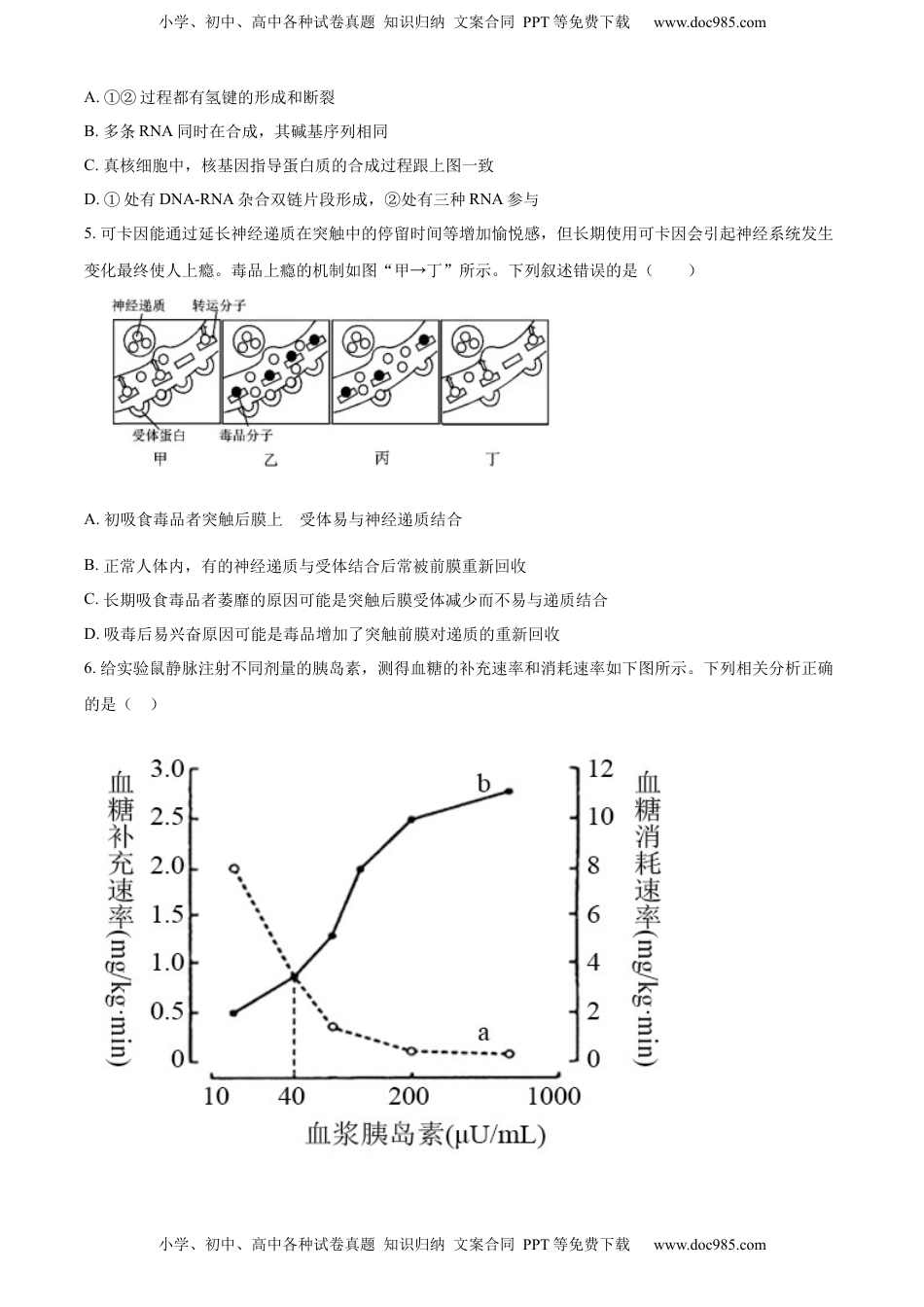 2022-2023学年高三上学期期末生物试题（原卷版）.docx