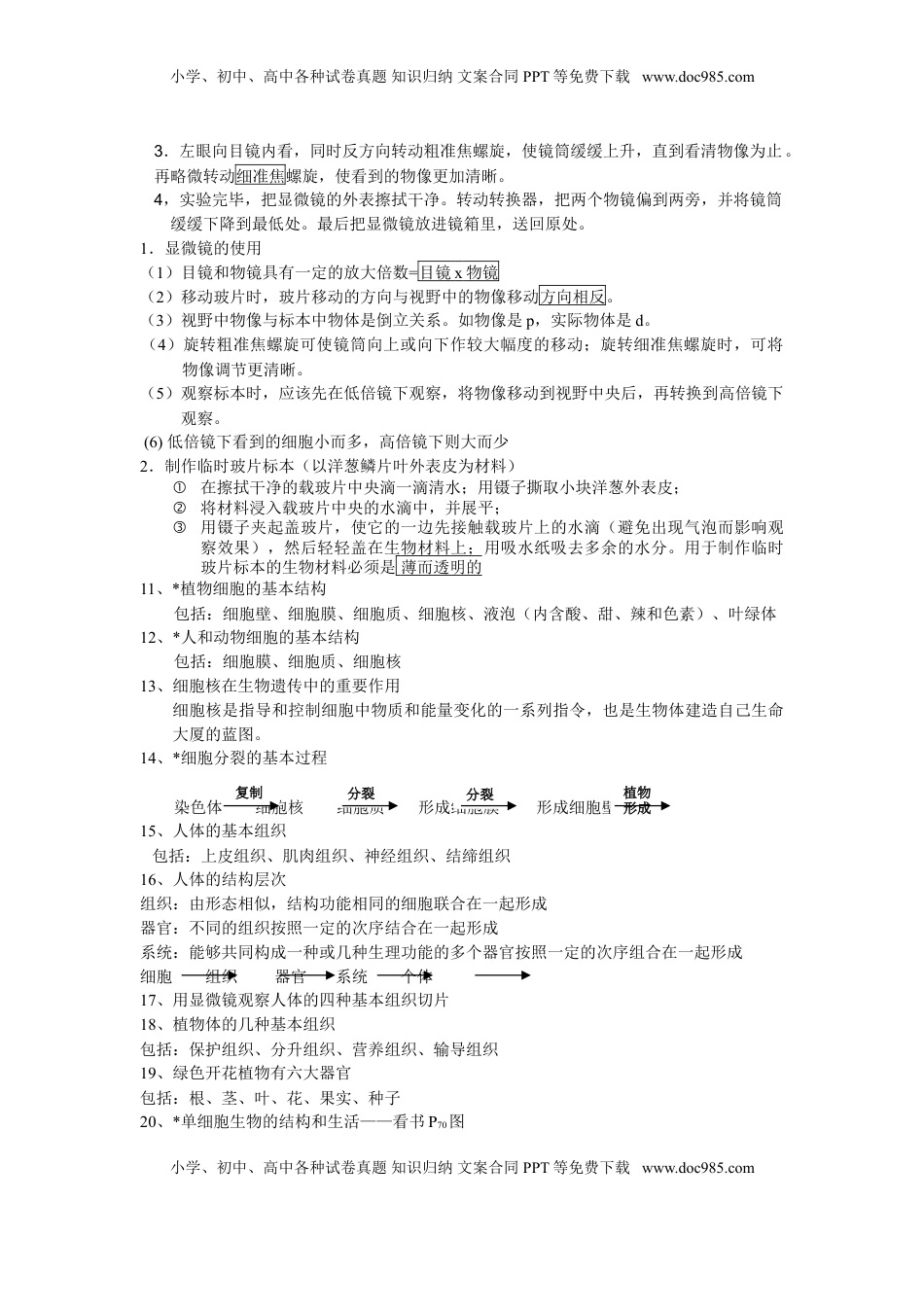 七年级生物上册复习资料(1).doc