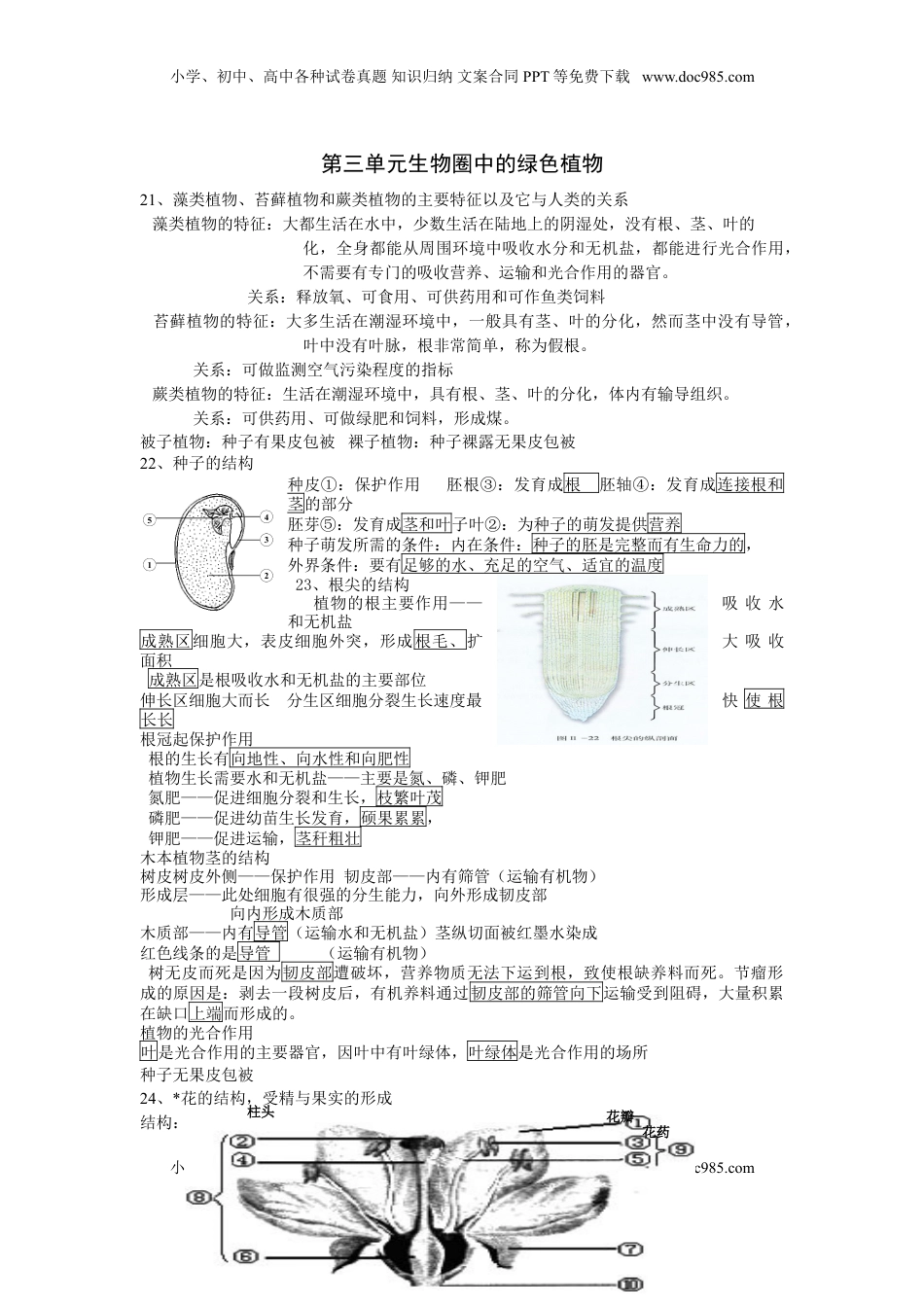 七年级生物上册复习资料(1).doc