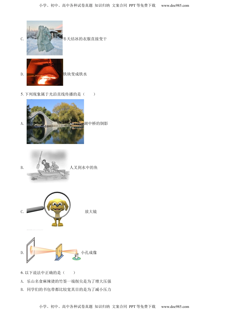 精品解析：2022年四川省乐山市中考物理试题（原卷版）.docx