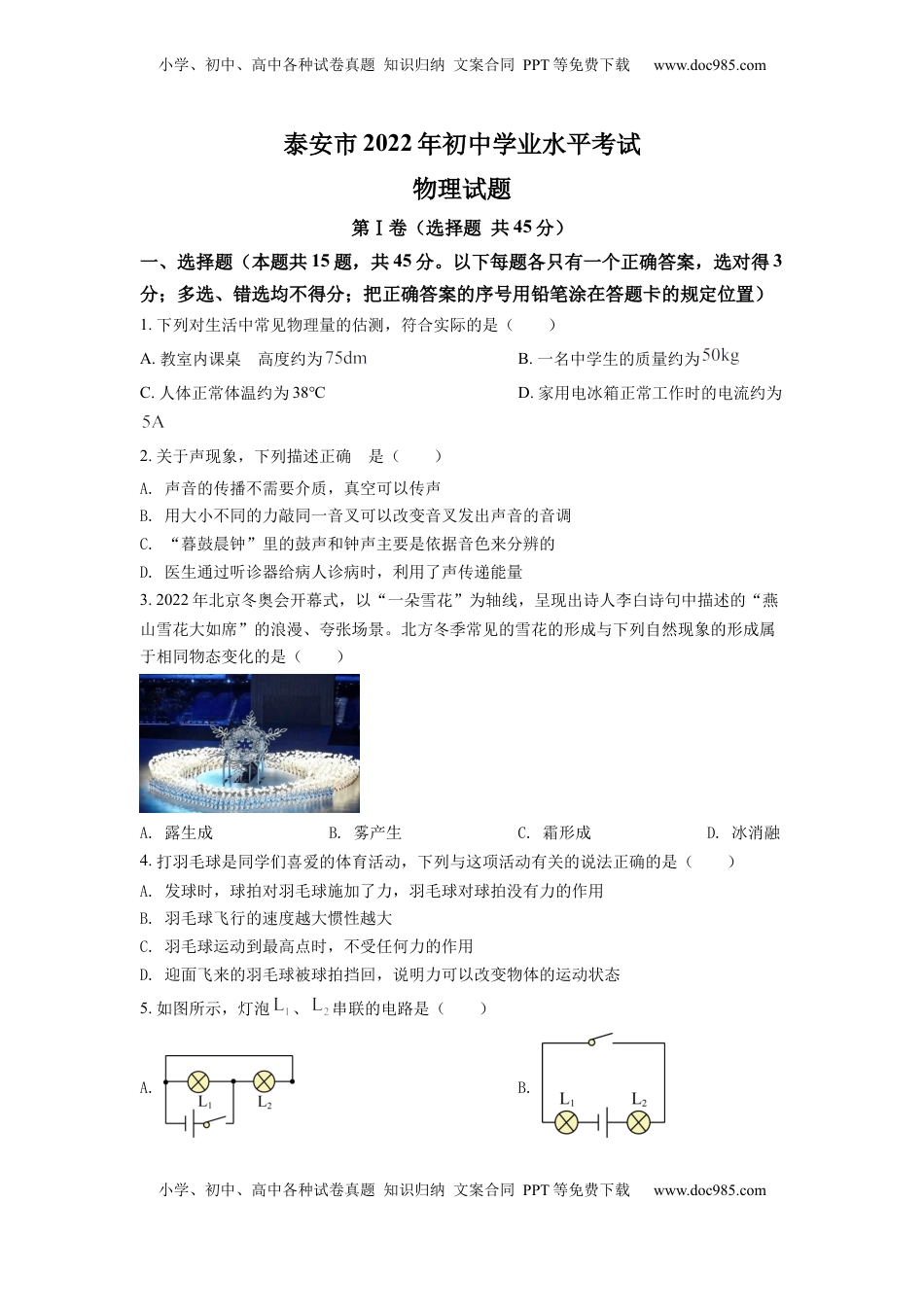 精品解析：2022年山东省泰安市中考物理真题（原卷版）.docx
