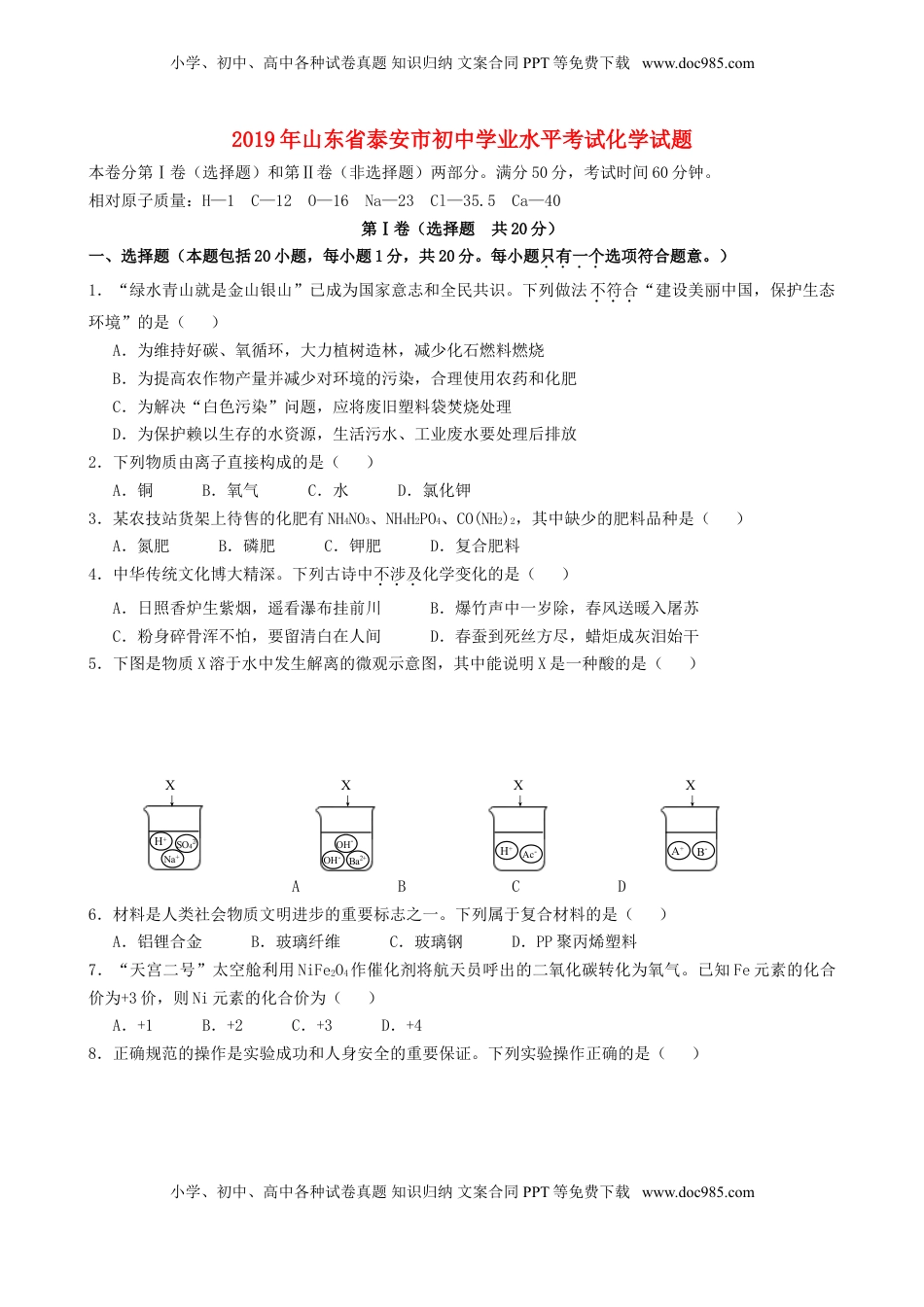 山东省泰安市2019年中考化学真题试题.doc