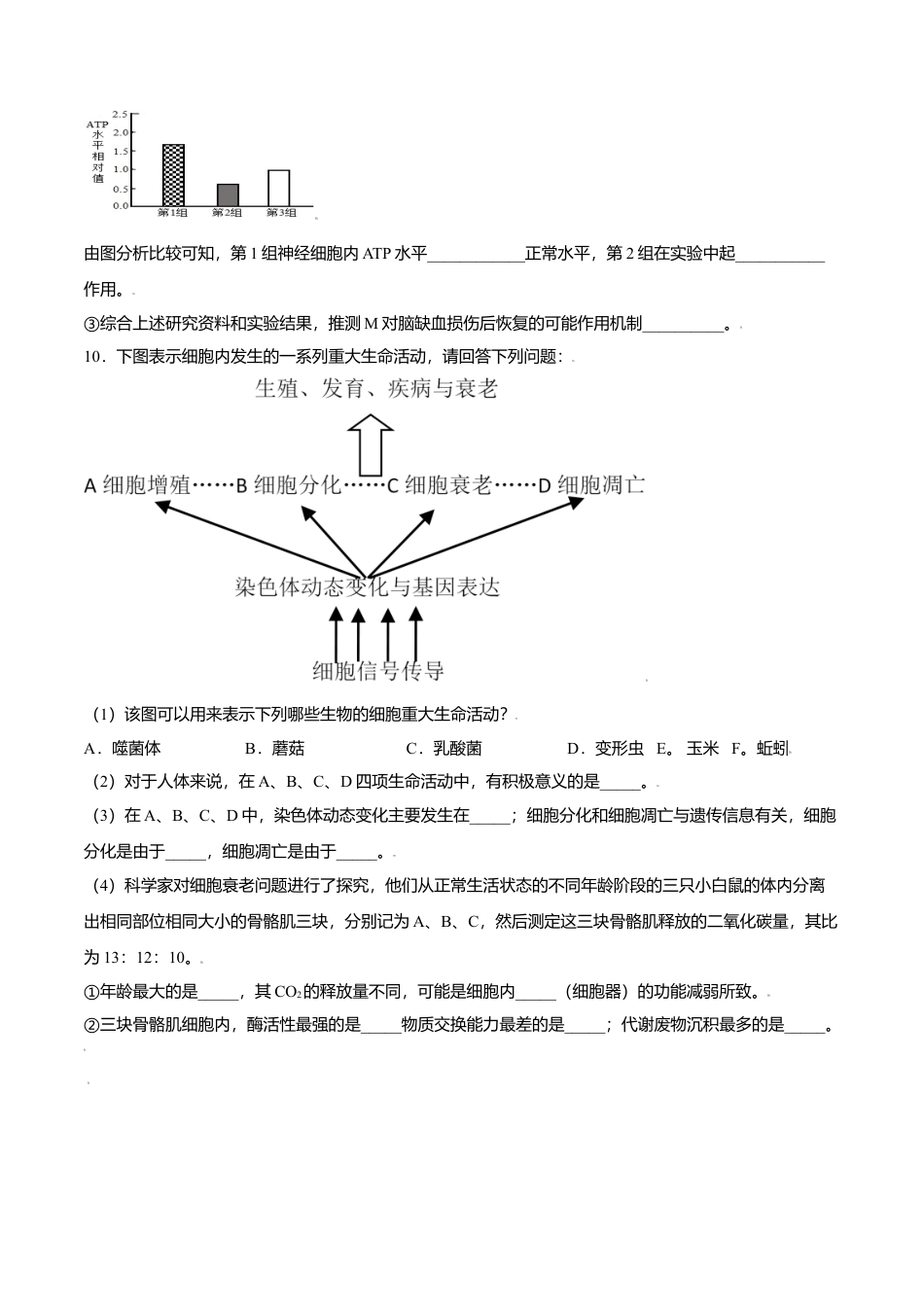 高中生物必修1 6.3  细胞的衰老和凋亡-高一生物课后培优练（人教版2019必修1）（原卷版）.doc