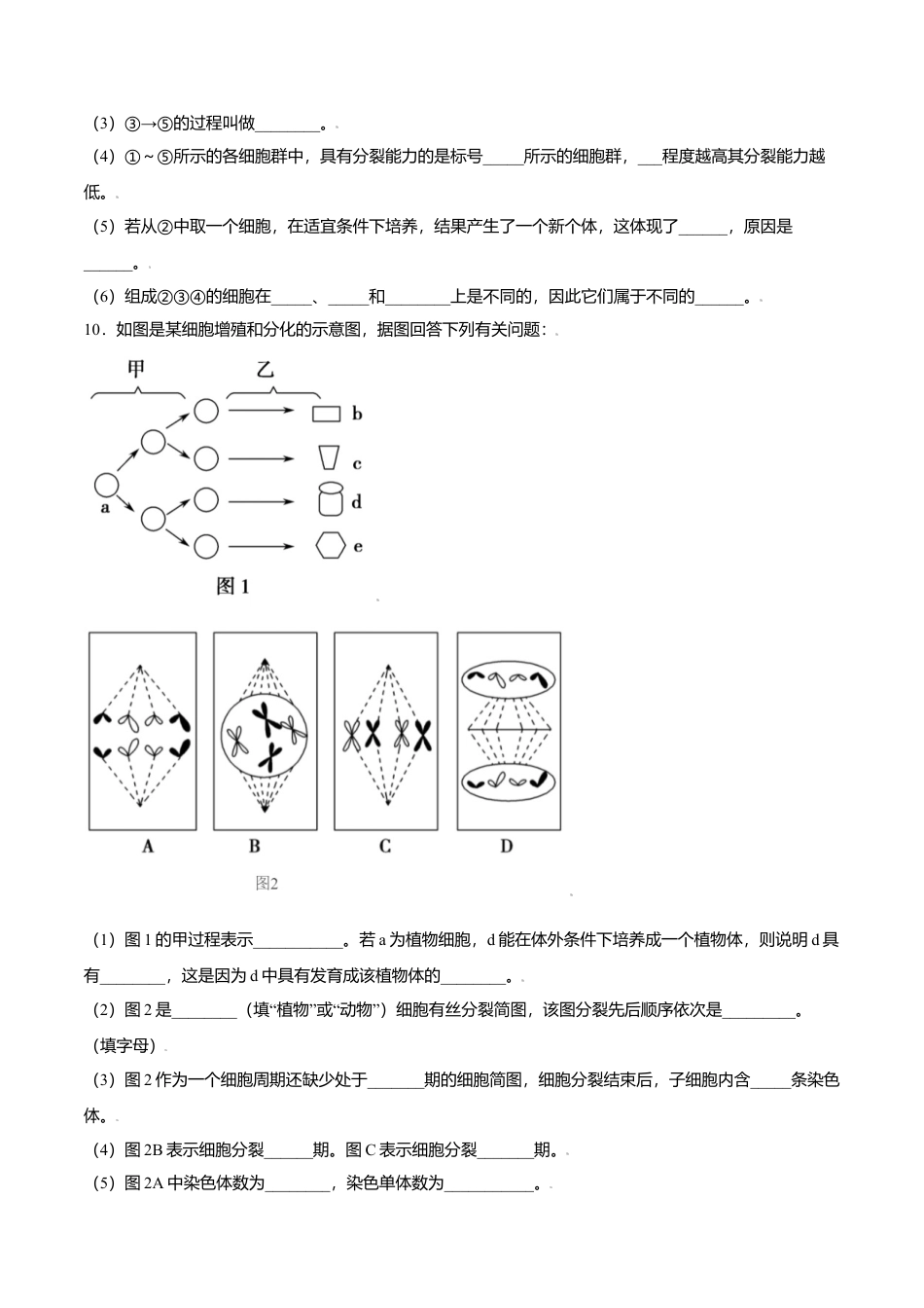 高中生物必修1 6.2  细胞的分化-高一生物课后培优练（人教版2019必修1）（原卷版）.doc