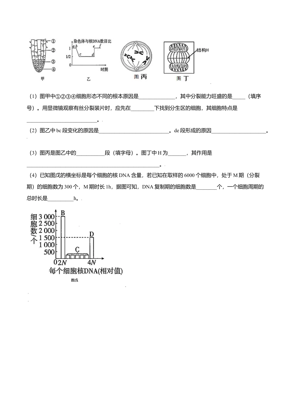 高中生物必修1 6.1  细胞的增殖-高一生物课后培优练（人教版2019必修1）（原卷版）.doc