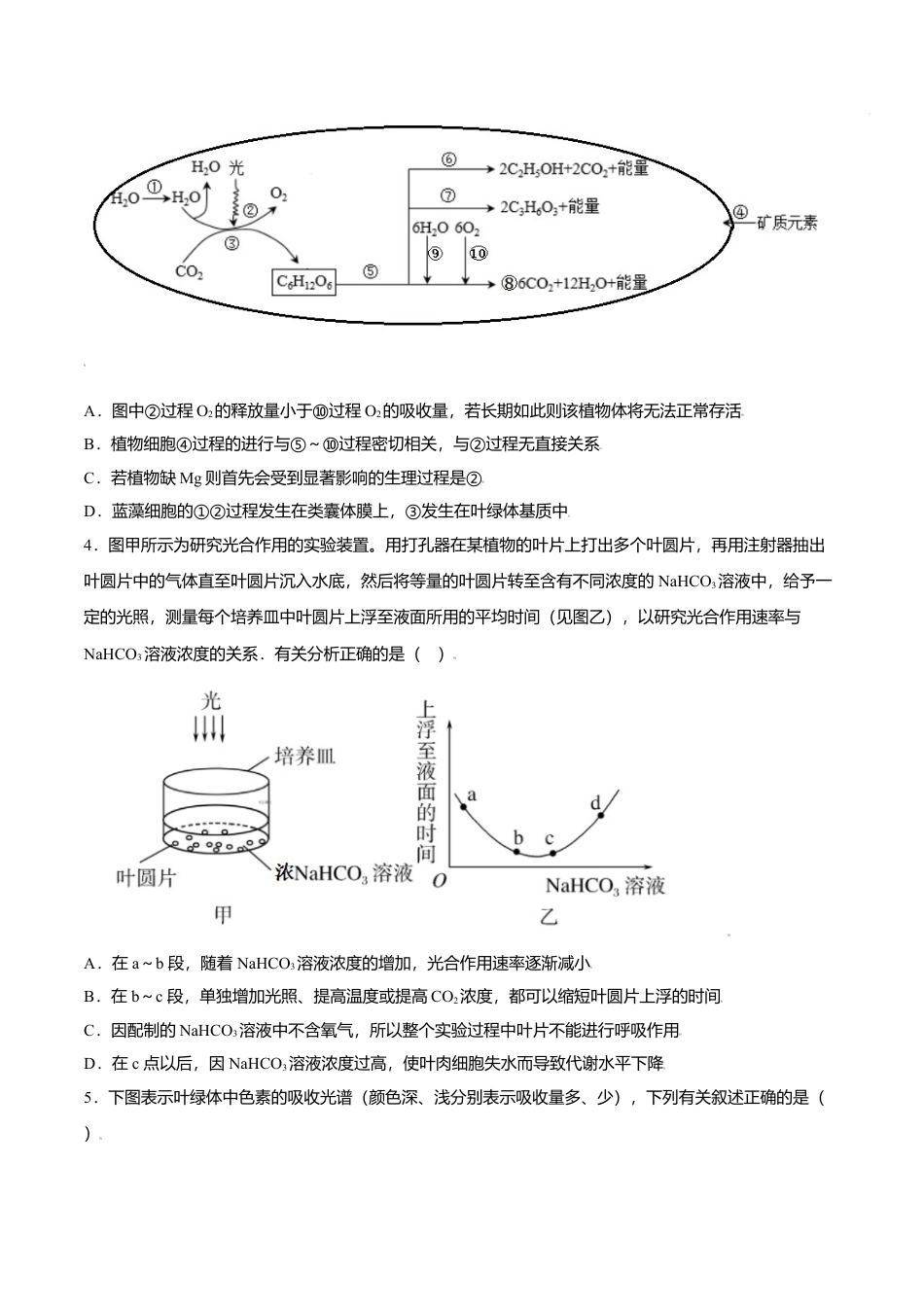 高中生物必修1 5.4  光合作用与能量转化-高一生物课后培优练（人教版2019必修1）（原卷版）.doc