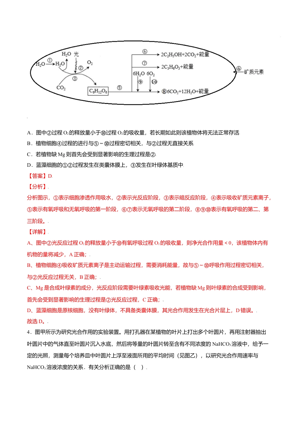 高中生物必修1 5.4  光合作用与能量转化-高一生物课后培优练（人教版2019必修1）（解析版）.doc