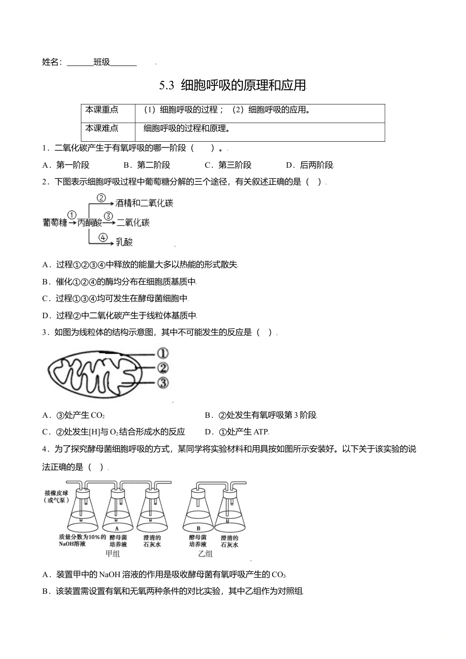 高中生物必修1 5.3  细胞呼吸的原理和应用-高一生物课后培优练（人教版2019必修1）（原卷版）.doc