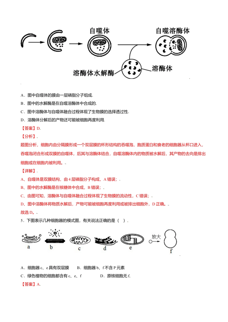高中生物必修1 3.2  细胞器之间的分工合作-高一生物课后培优练（人教版2019必修1）（解析版）.doc