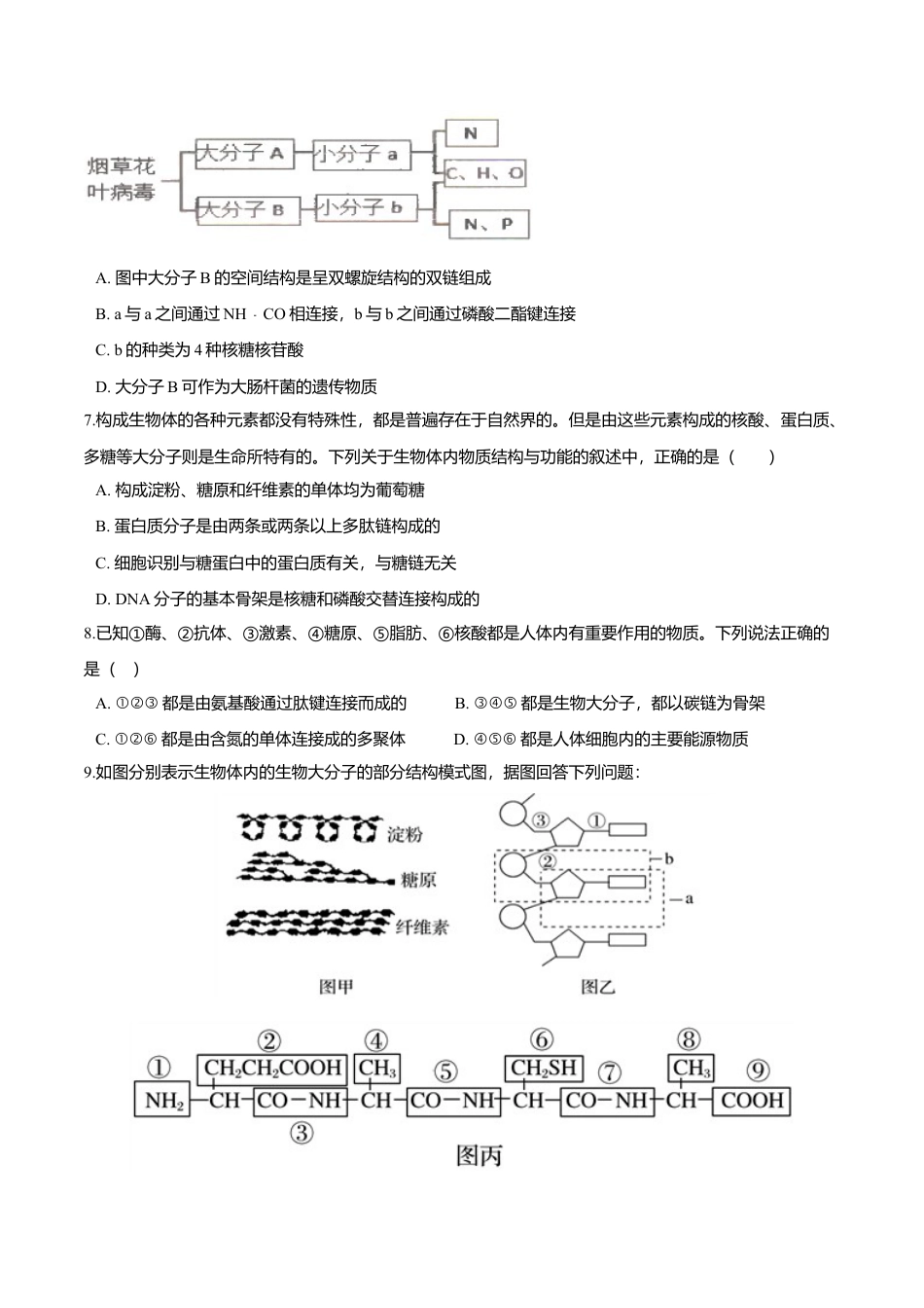 高中生物必修1 2.5  核酸是遗传信息的携带者-高一生物课后培优练（人教版2019必修1）（原卷版）.doc