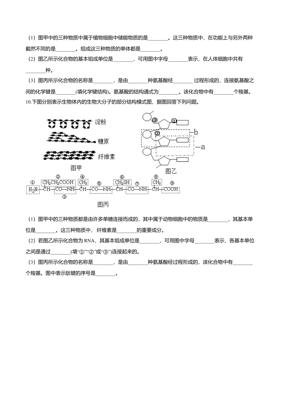 高中生物必修1 2.5  核酸是遗传信息的携带者-高一生物课后培优练（人教版2019必修1）（原卷版）.doc