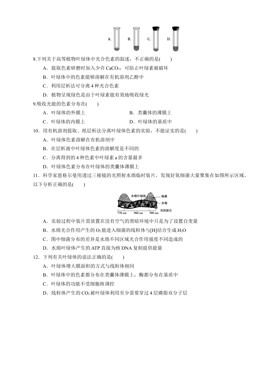 高中生物必修1 5.4.1 光合作用与能量转化 练习（1）（原卷版）.docx