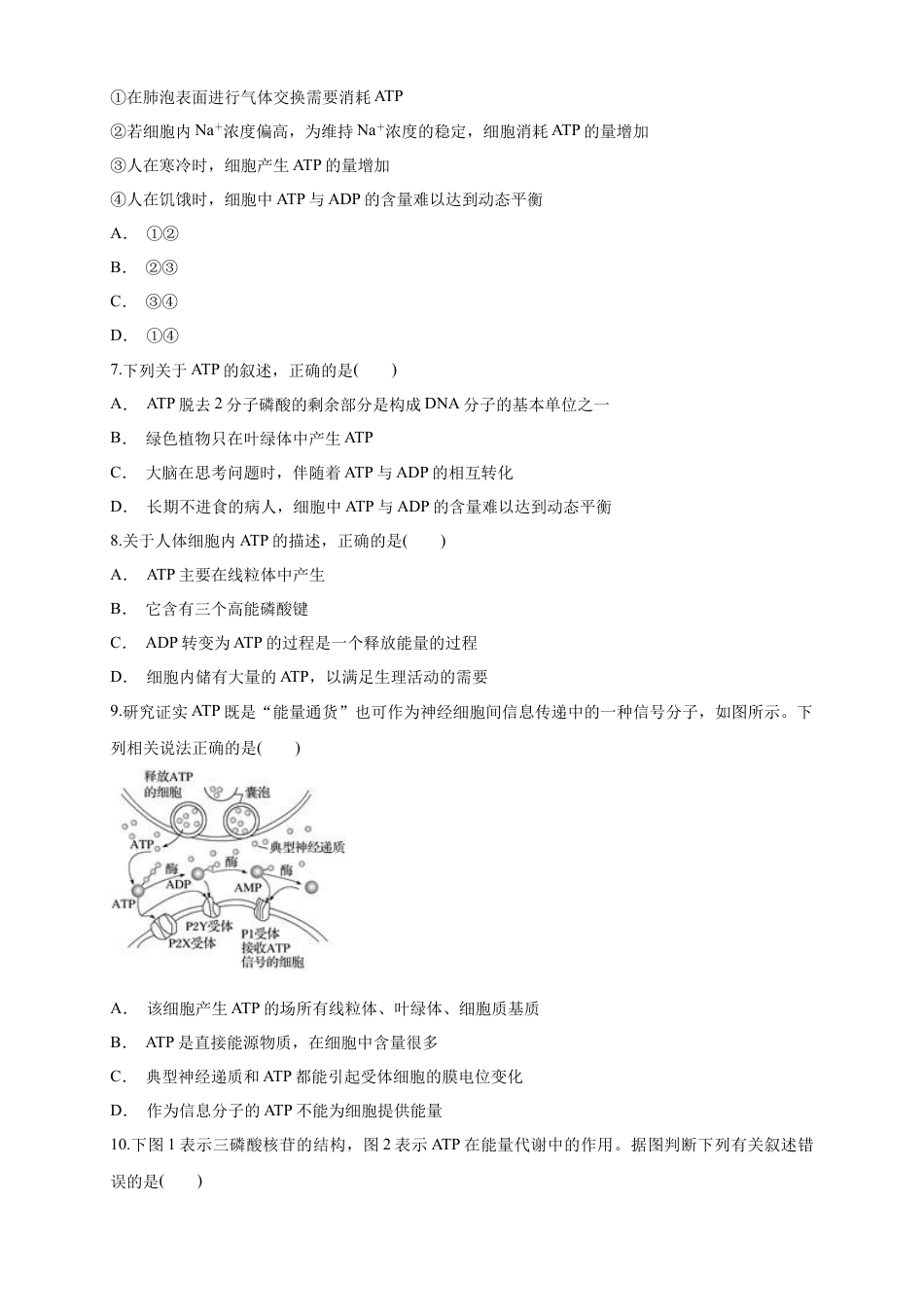 高中生物必修1 5.2 细胞的能量“通货”ATP 练习（1）（原卷版）.docx