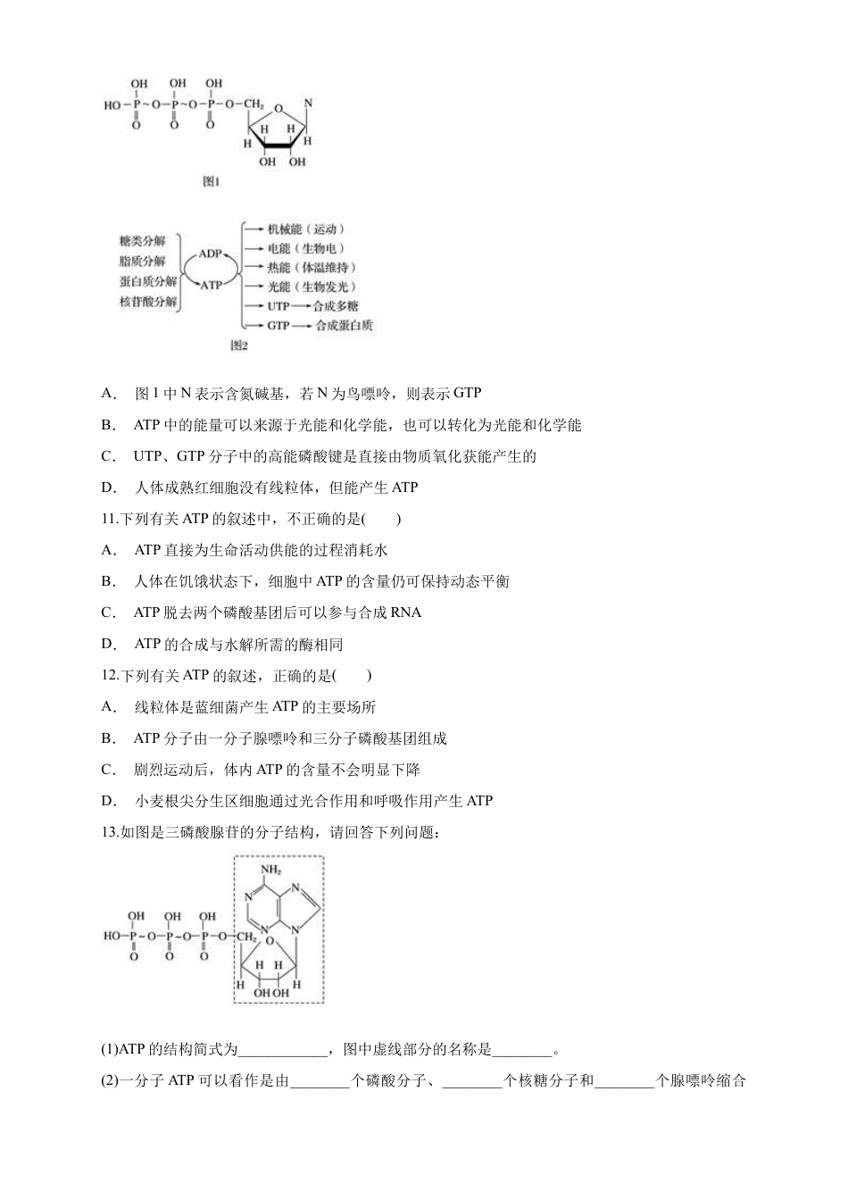 高中生物必修1 5.2 细胞的能量“通货”ATP 练习（1）（原卷版）.docx