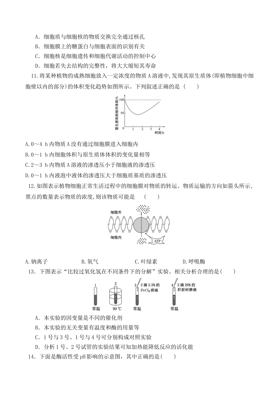 高中生物必修1 期末预测卷（一）-2022-2023学年高一生物上学期课后培优分级练（2019人教版必修1）（原卷版）.docx
