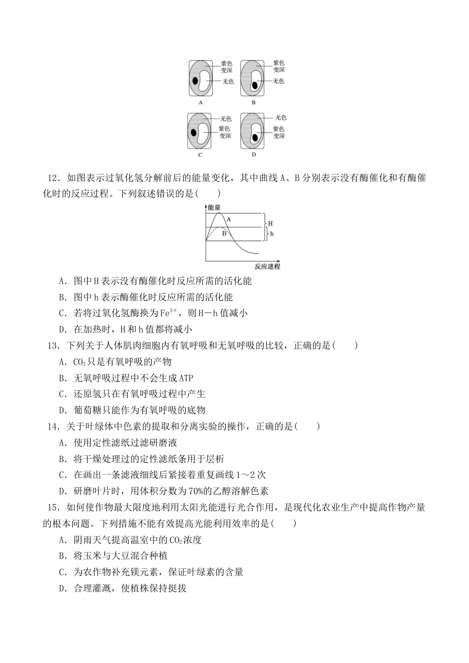 高中生物必修1 期末预测卷（二）-2022-2023学年高一生物上学期课后培优分级练（2019人教版必修1）（原卷版）.docx