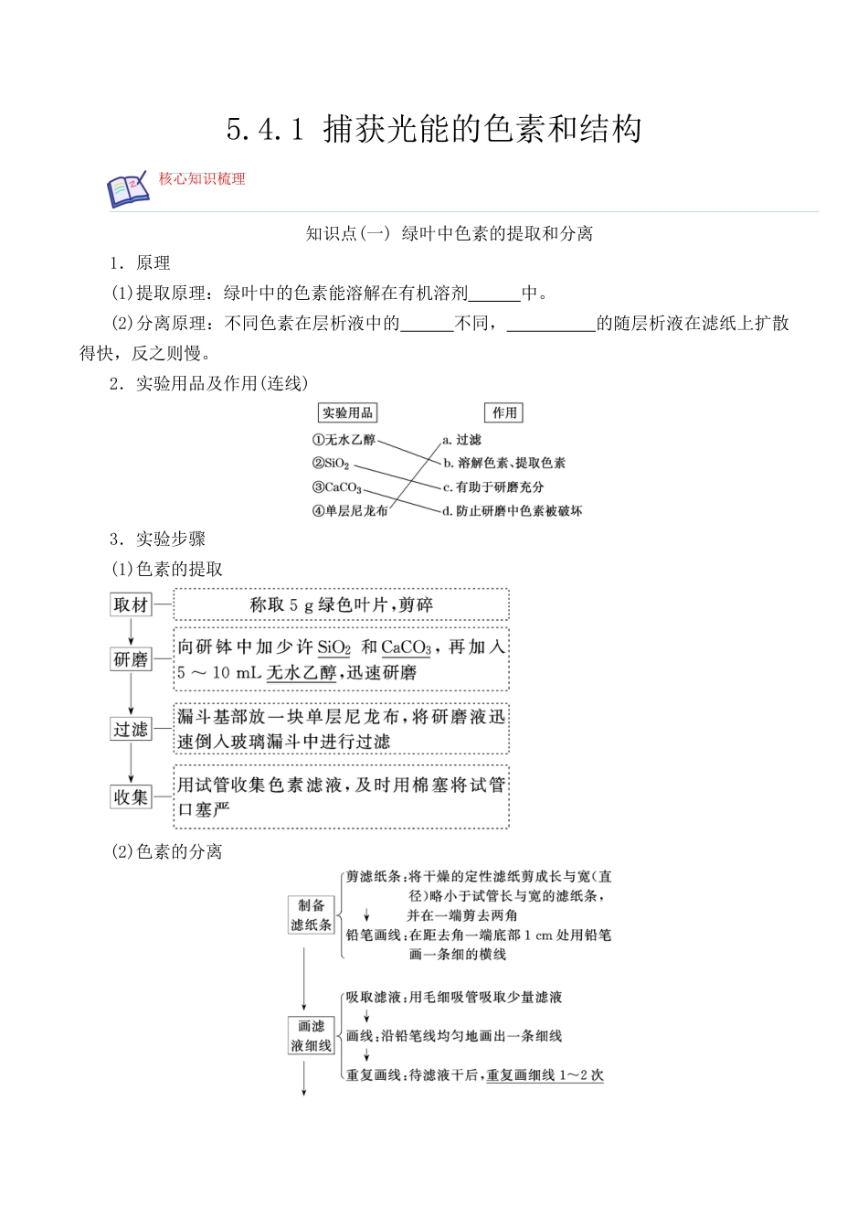 高中生物必修1 5.4.1 捕获光能的色素和结构-2022-2023学年高一生物上学期课后培优分级练（2019人教版必修1）（原卷版）.docx
